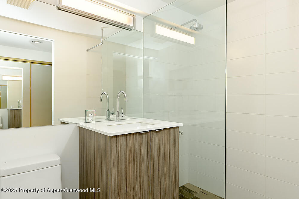 119 E Cooper Avenue Aspen CO 81611