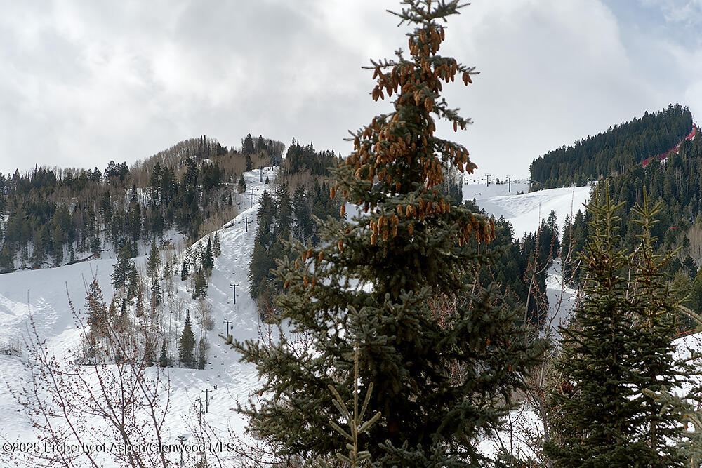 119 E Cooper Avenue Aspen CO 81611