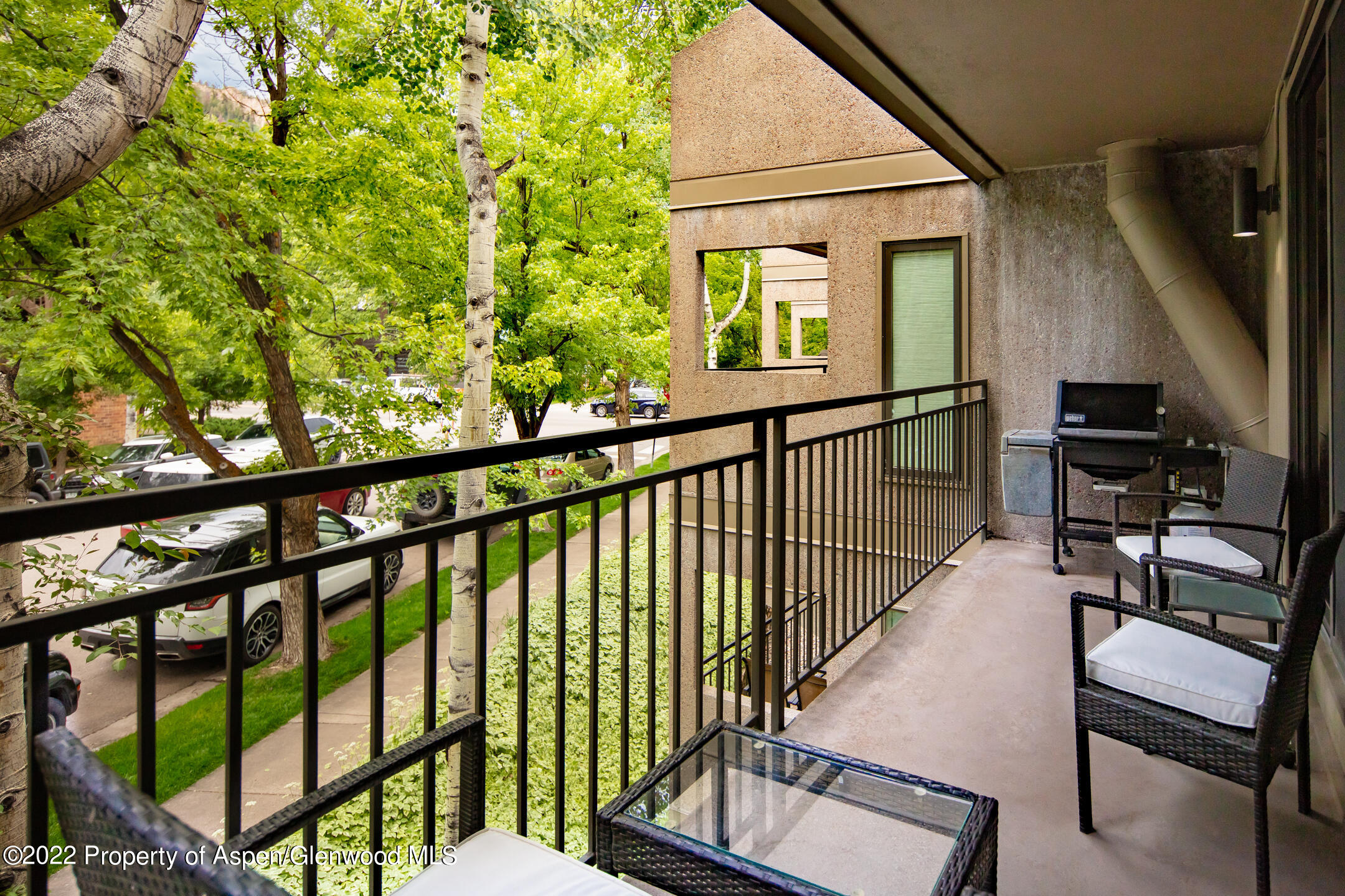 800 E Hopkins Avenue Aspen CO 81611