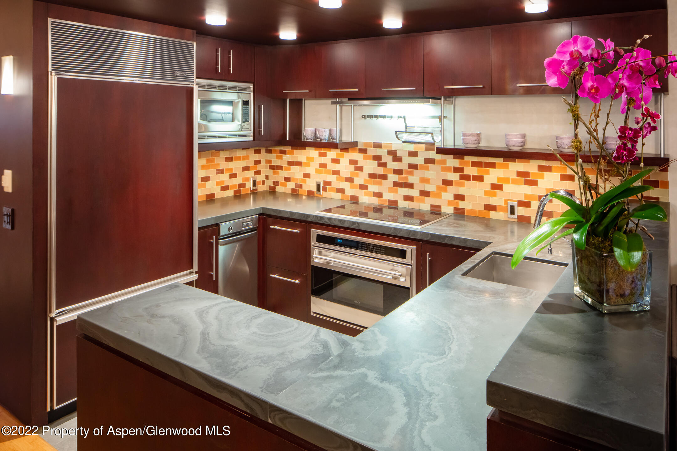 800 E Hopkins Avenue Aspen CO 81611