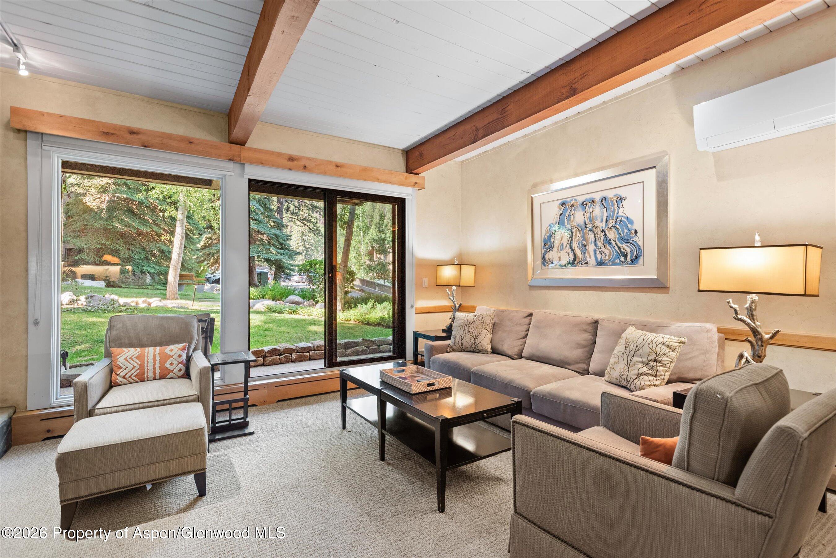 610 S West End Street Aspen CO 81611