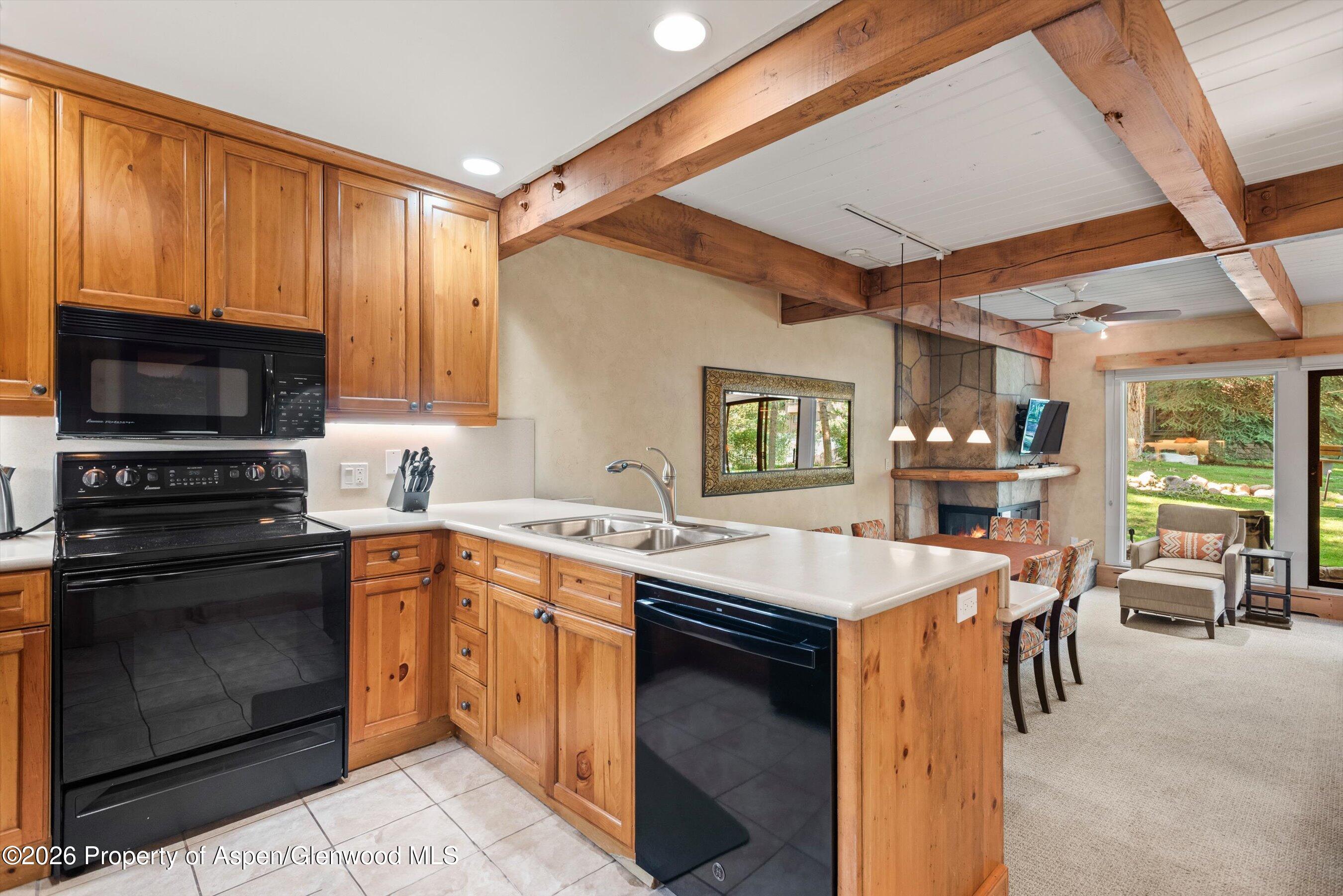 610 S West End Street Aspen CO 81611
