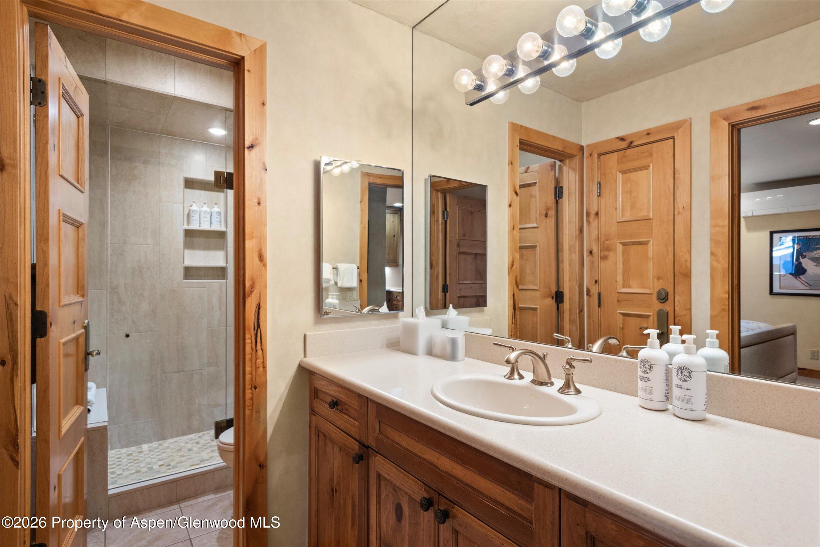 610 S West End Street Aspen CO 81611