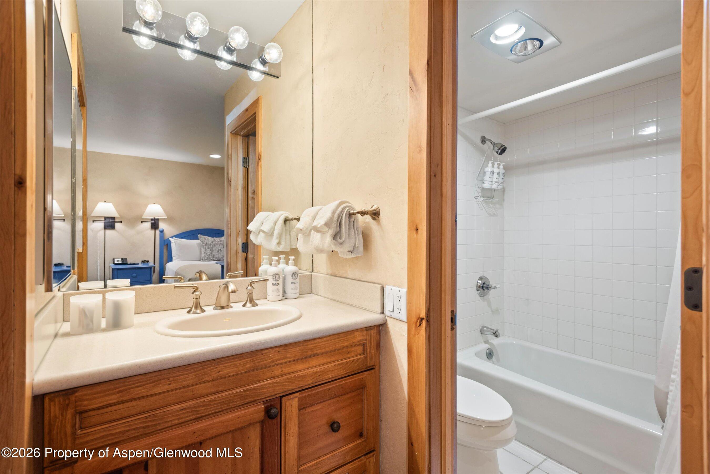 610 S West End Street Aspen CO 81611