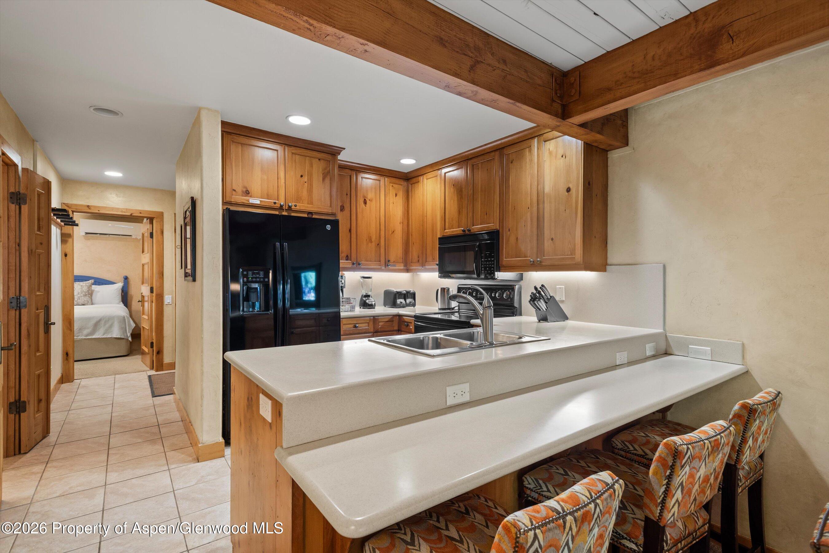 610 S West End Street Aspen CO 81611