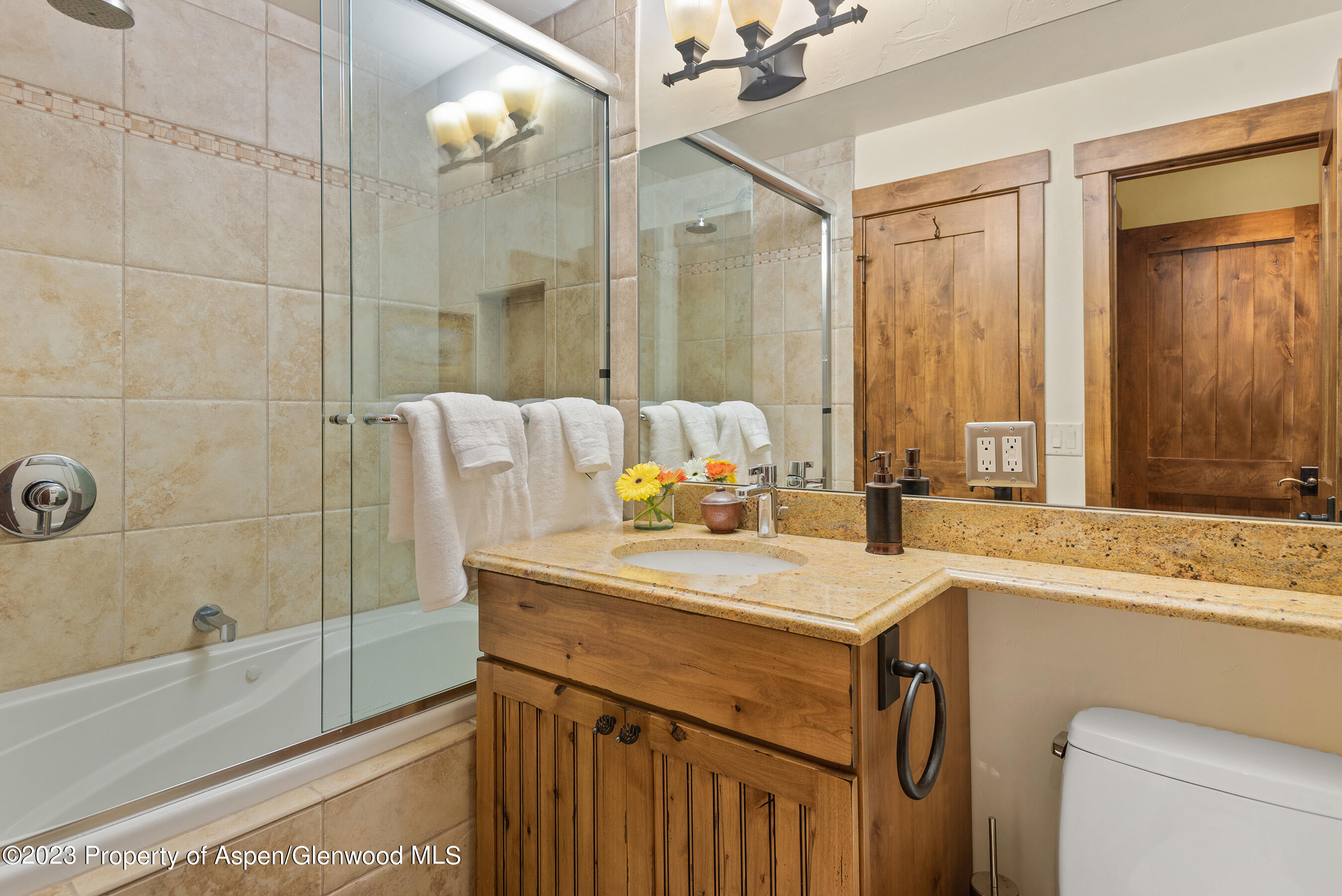 108 W Hyman Avenue Aspen CO 81611
