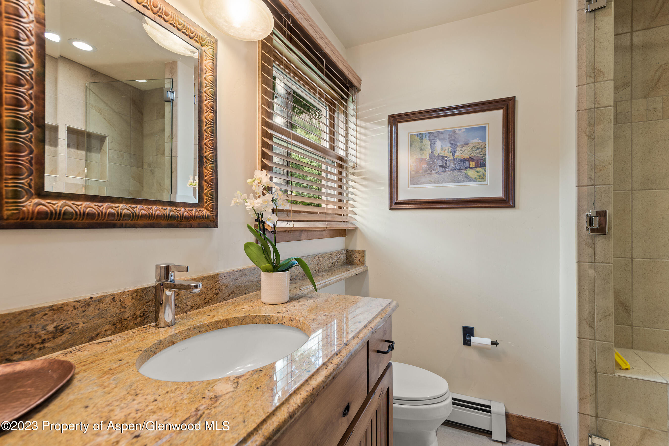 108 W Hyman Avenue Aspen CO 81611