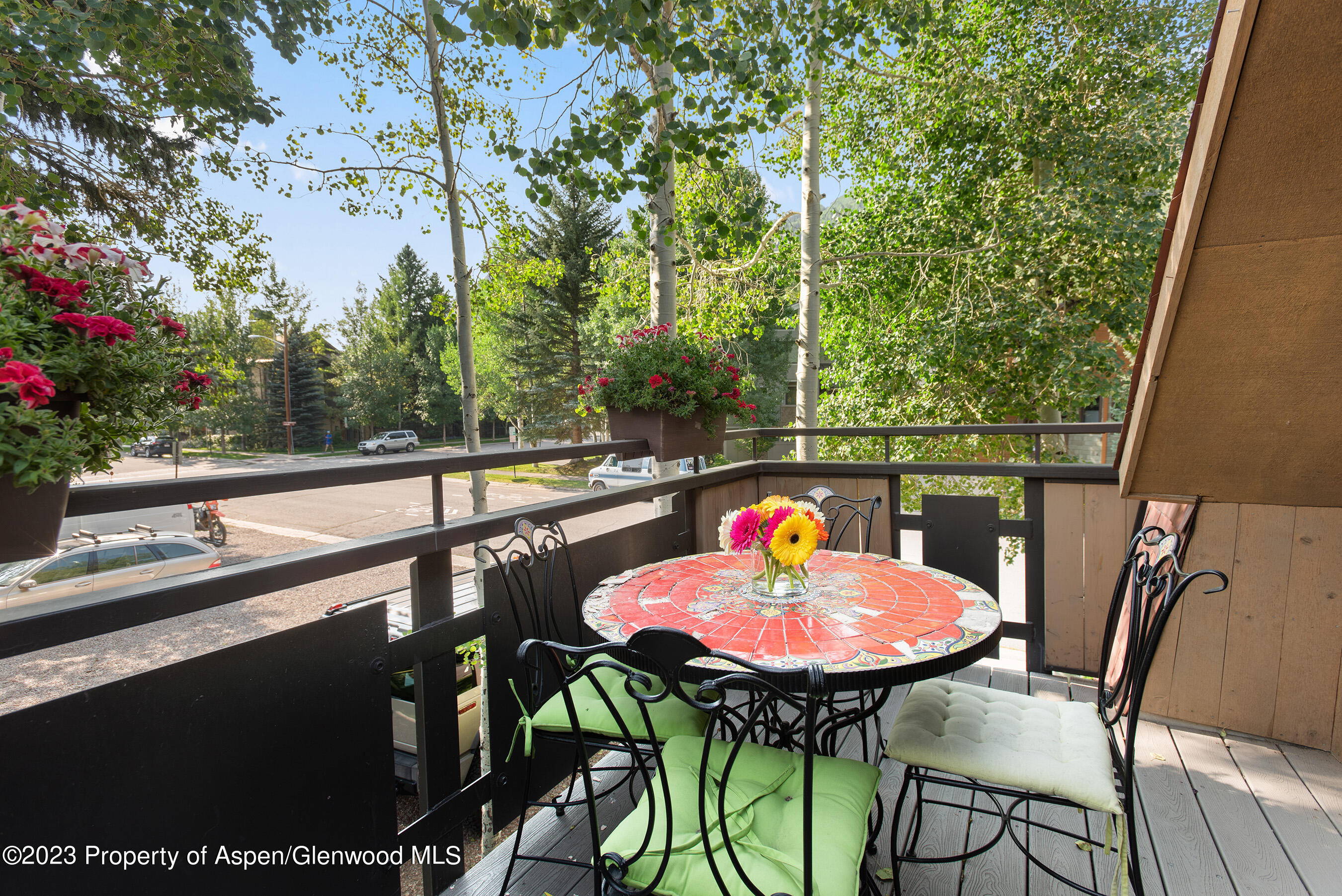 108 W Hyman Avenue Aspen CO 81611