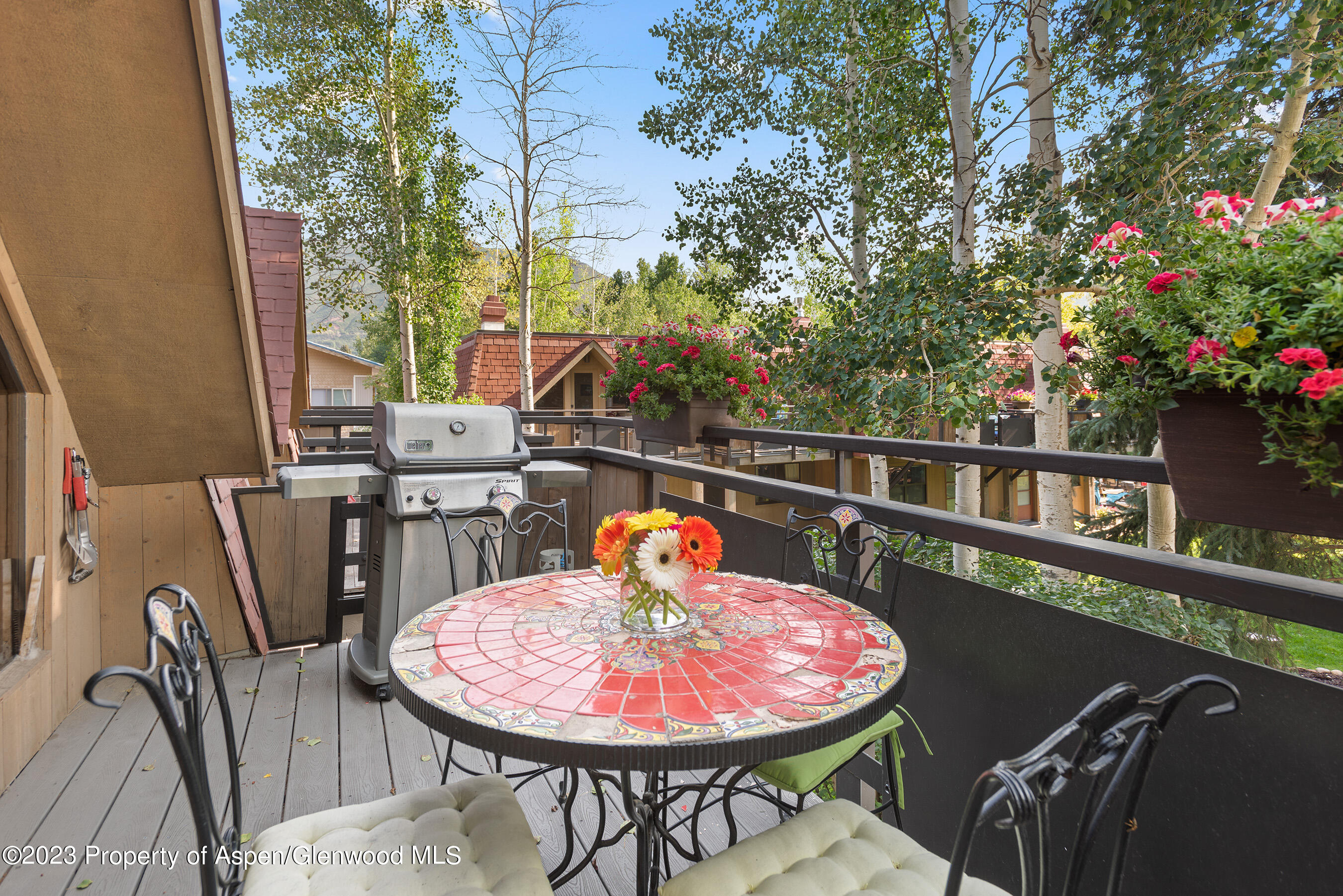 108 W Hyman Avenue Aspen CO 81611