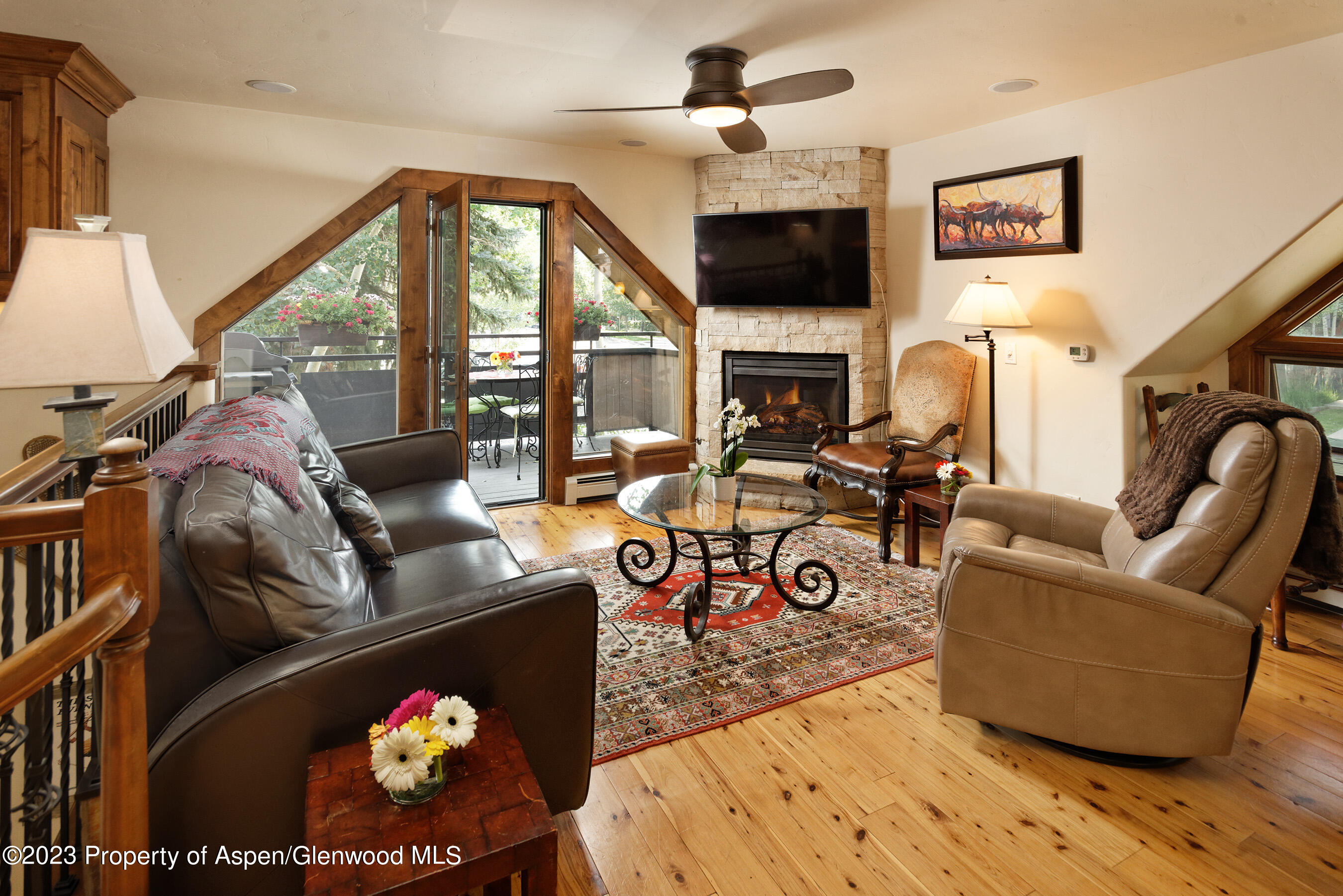 108 W Hyman Avenue Aspen CO 81611