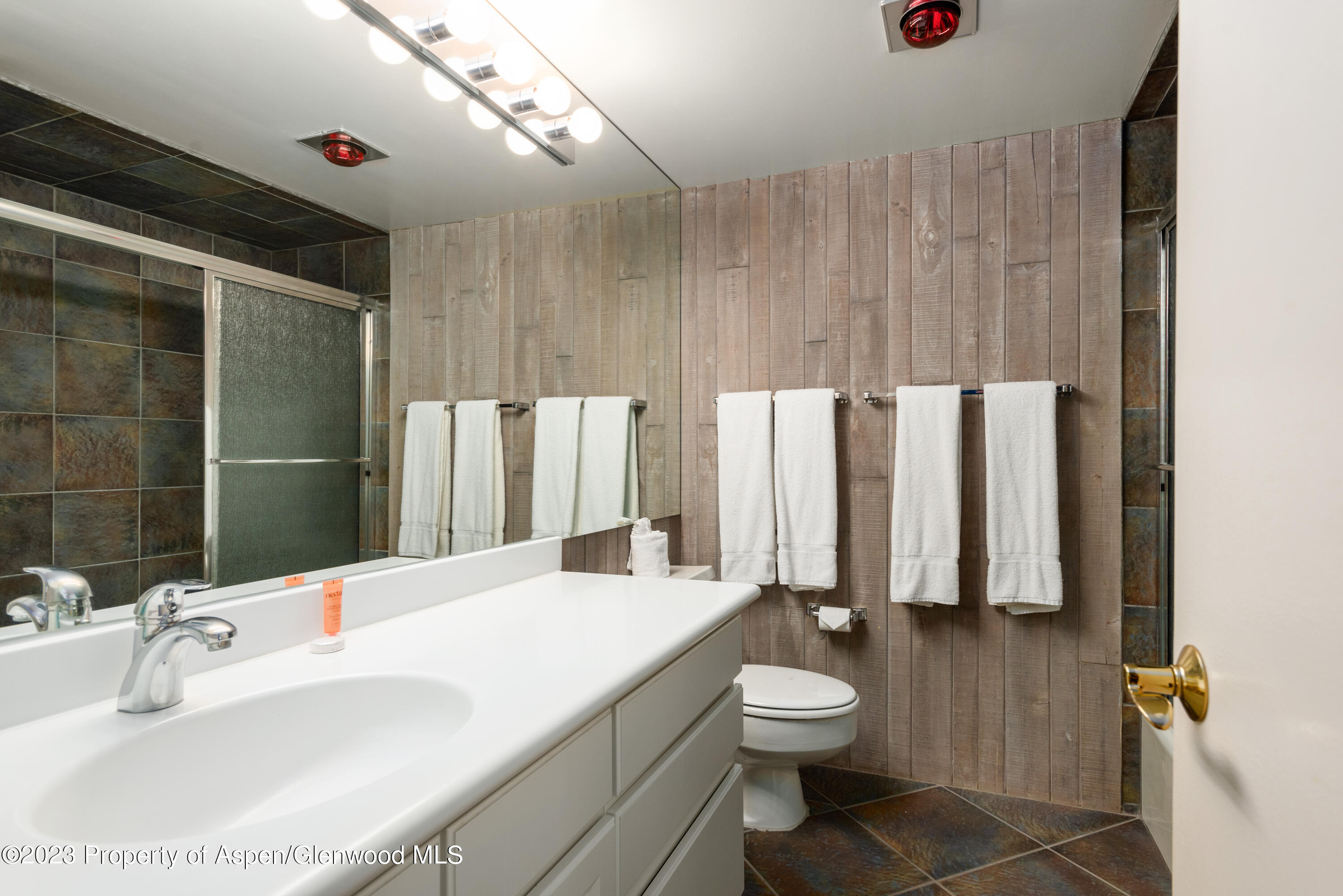 1039 E Cooper Avenue Aspen CO 81611