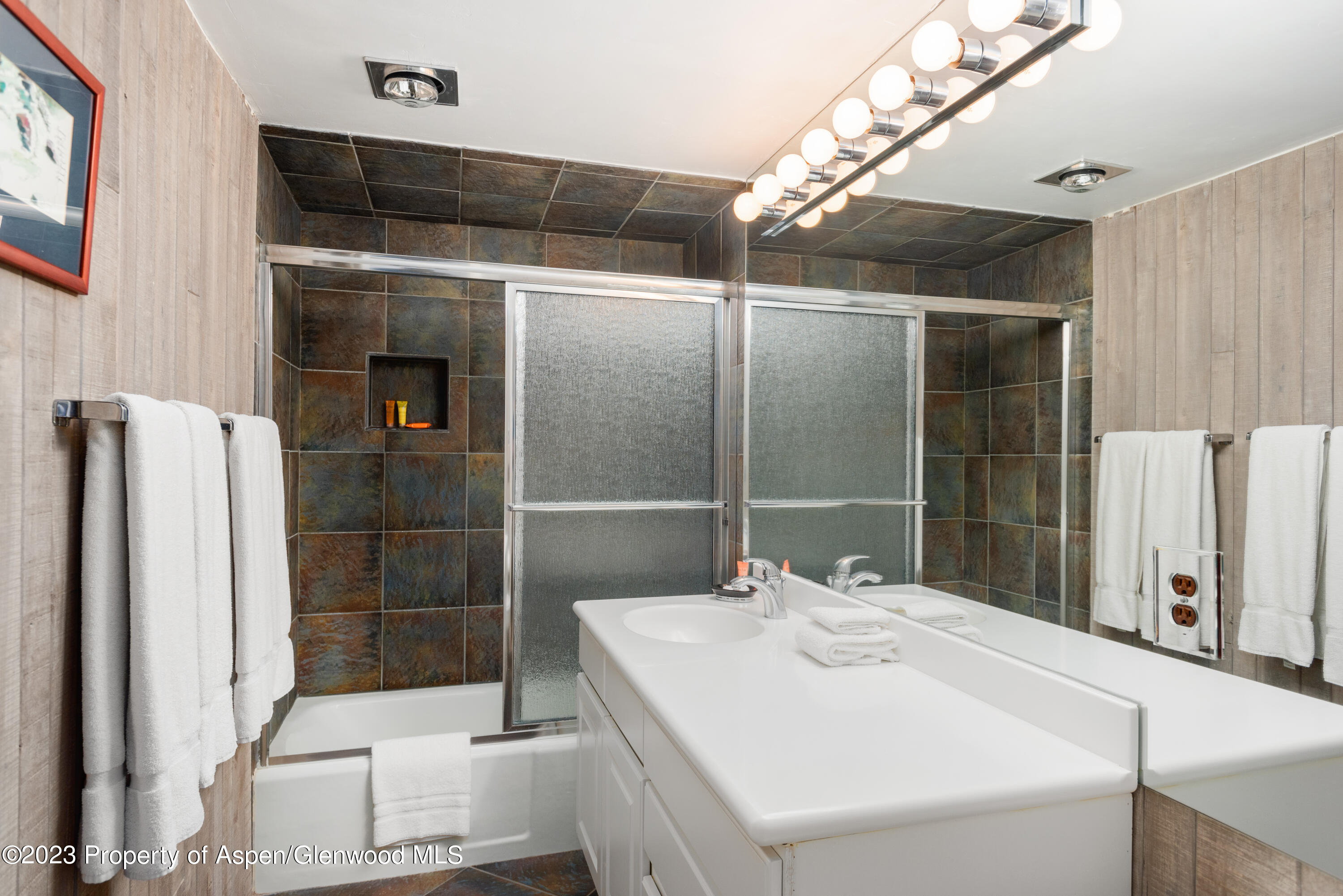 1039 E Cooper Avenue Aspen CO 81611