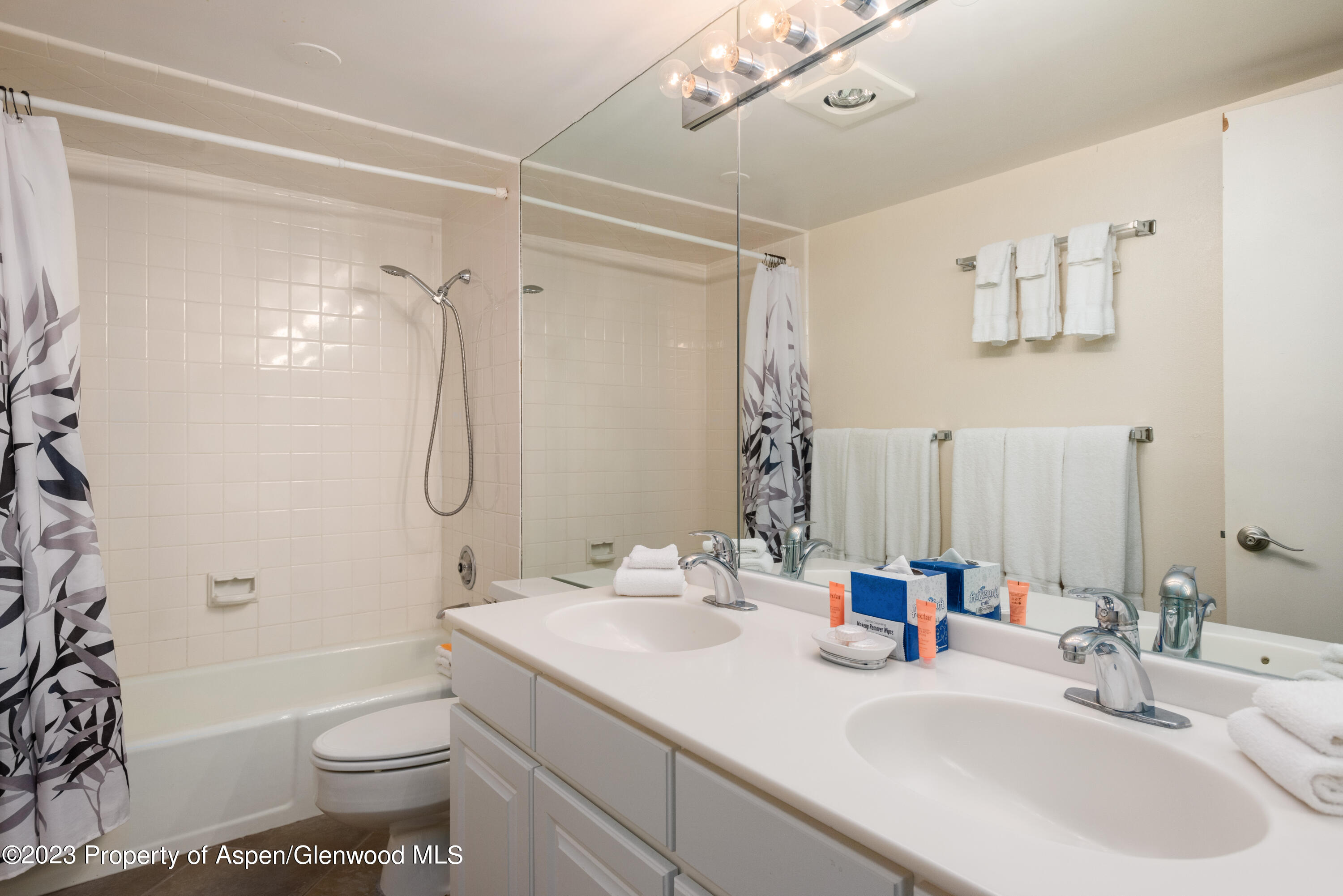1039 E Cooper Avenue Aspen CO 81611