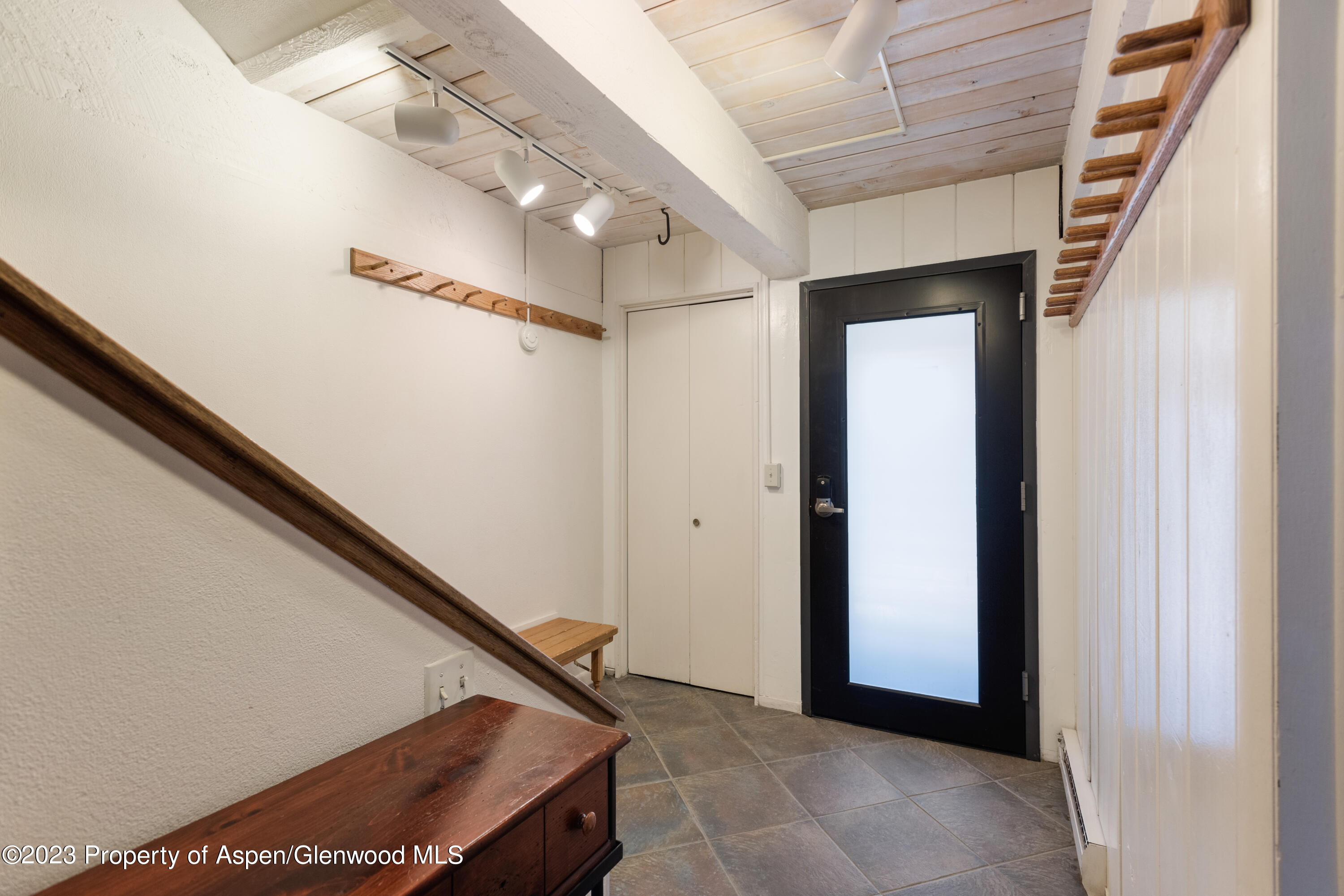 1039 E Cooper Avenue Aspen CO 81611
