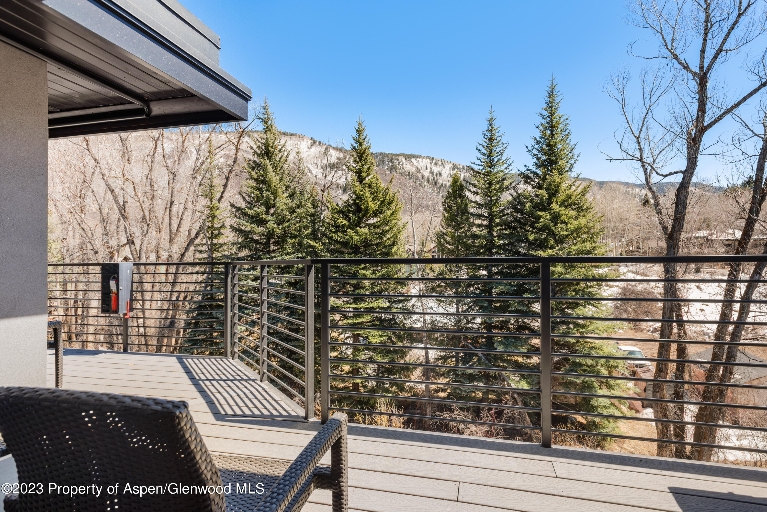 1039 E Cooper Avenue Aspen CO 81611
