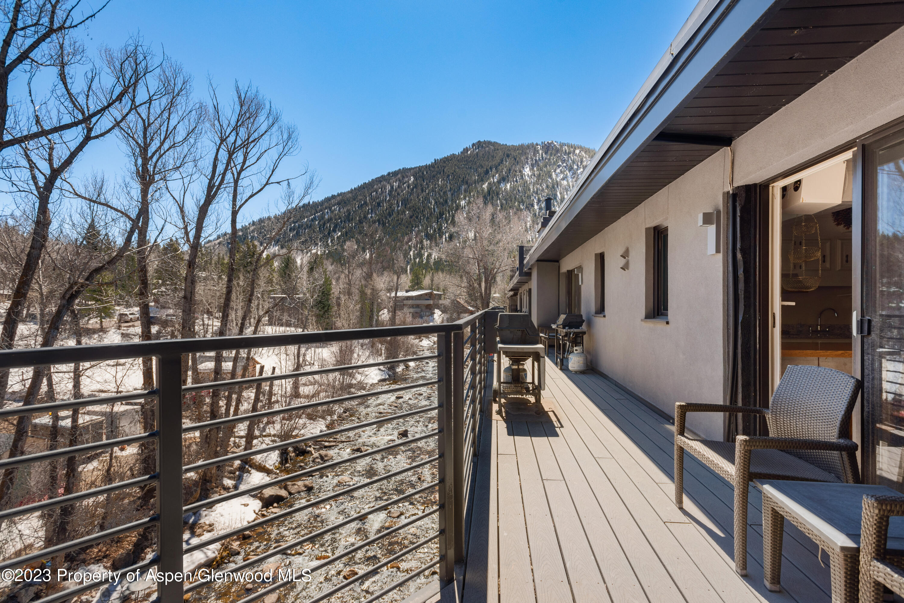 1039 E Cooper Avenue Aspen CO 81611