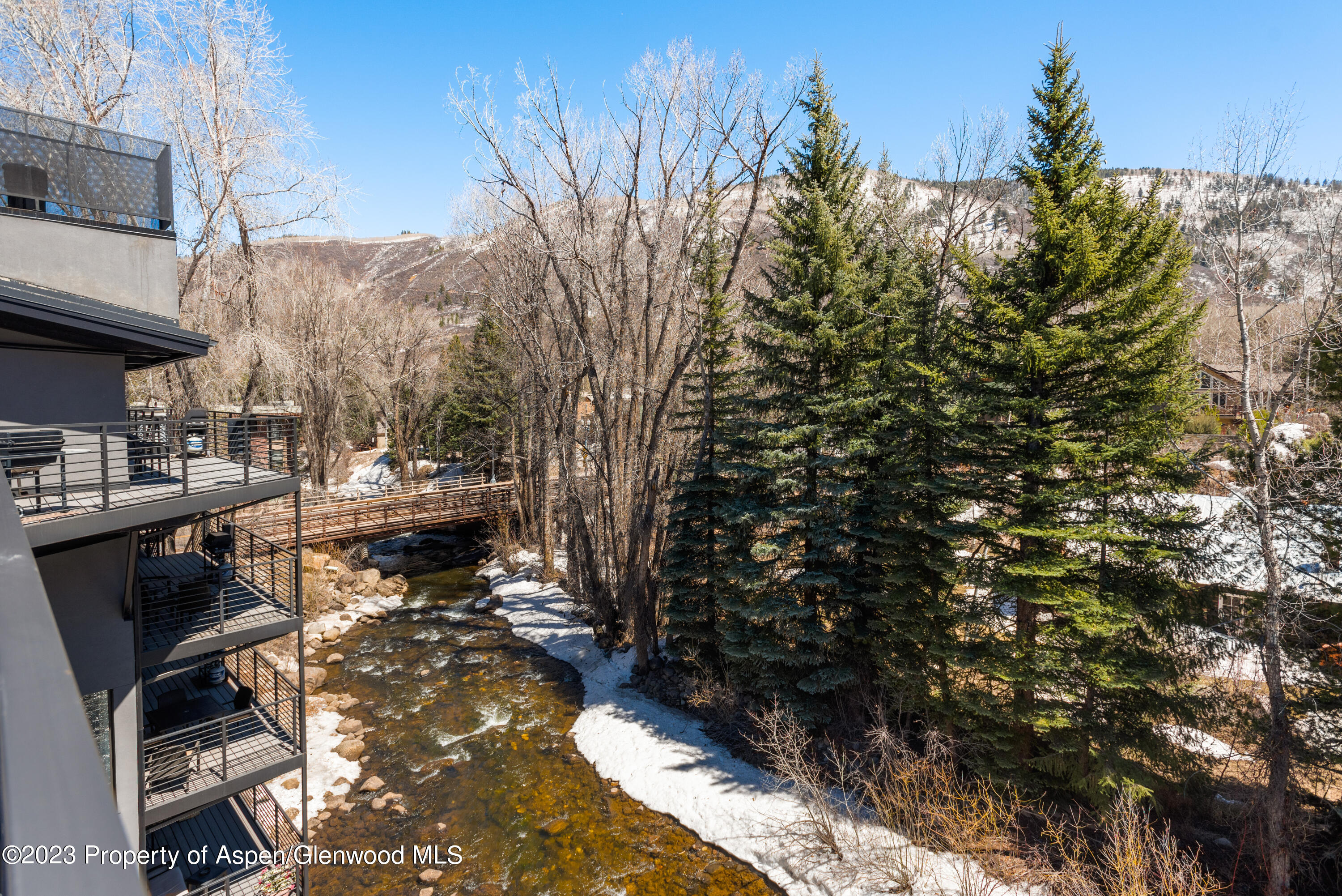 1039 E Cooper Avenue Aspen CO 81611