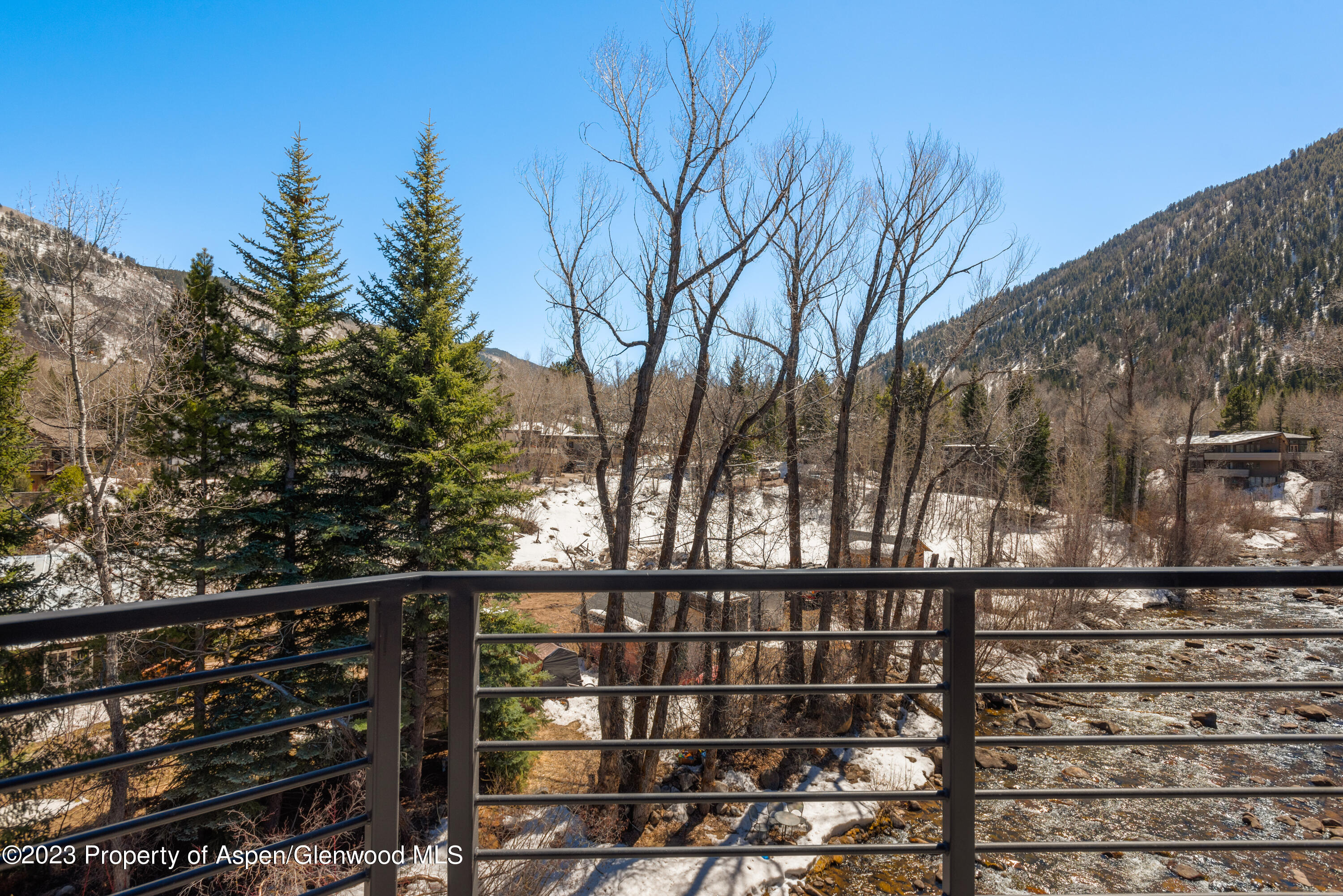 1039 E Cooper Avenue Aspen CO 81611