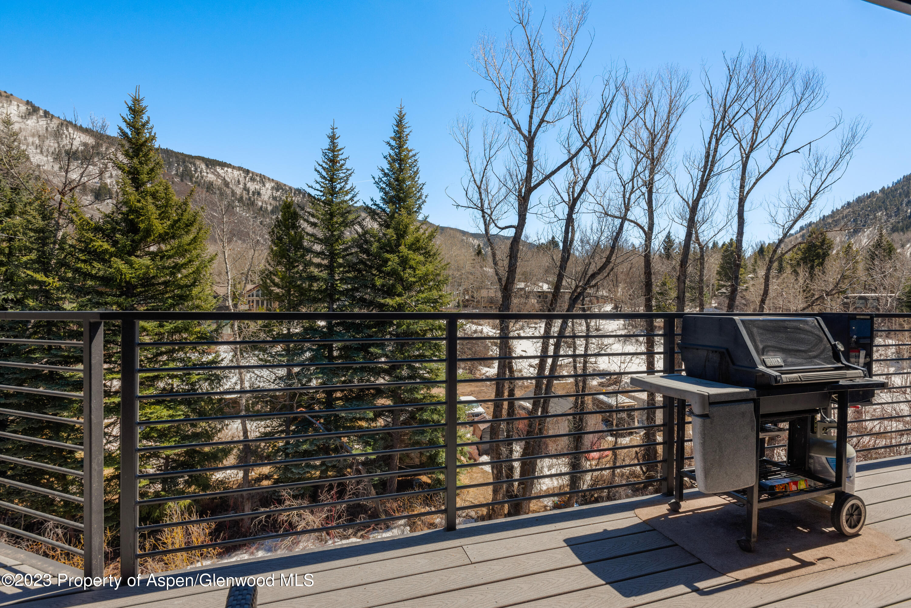 1039 E Cooper Avenue Aspen CO 81611