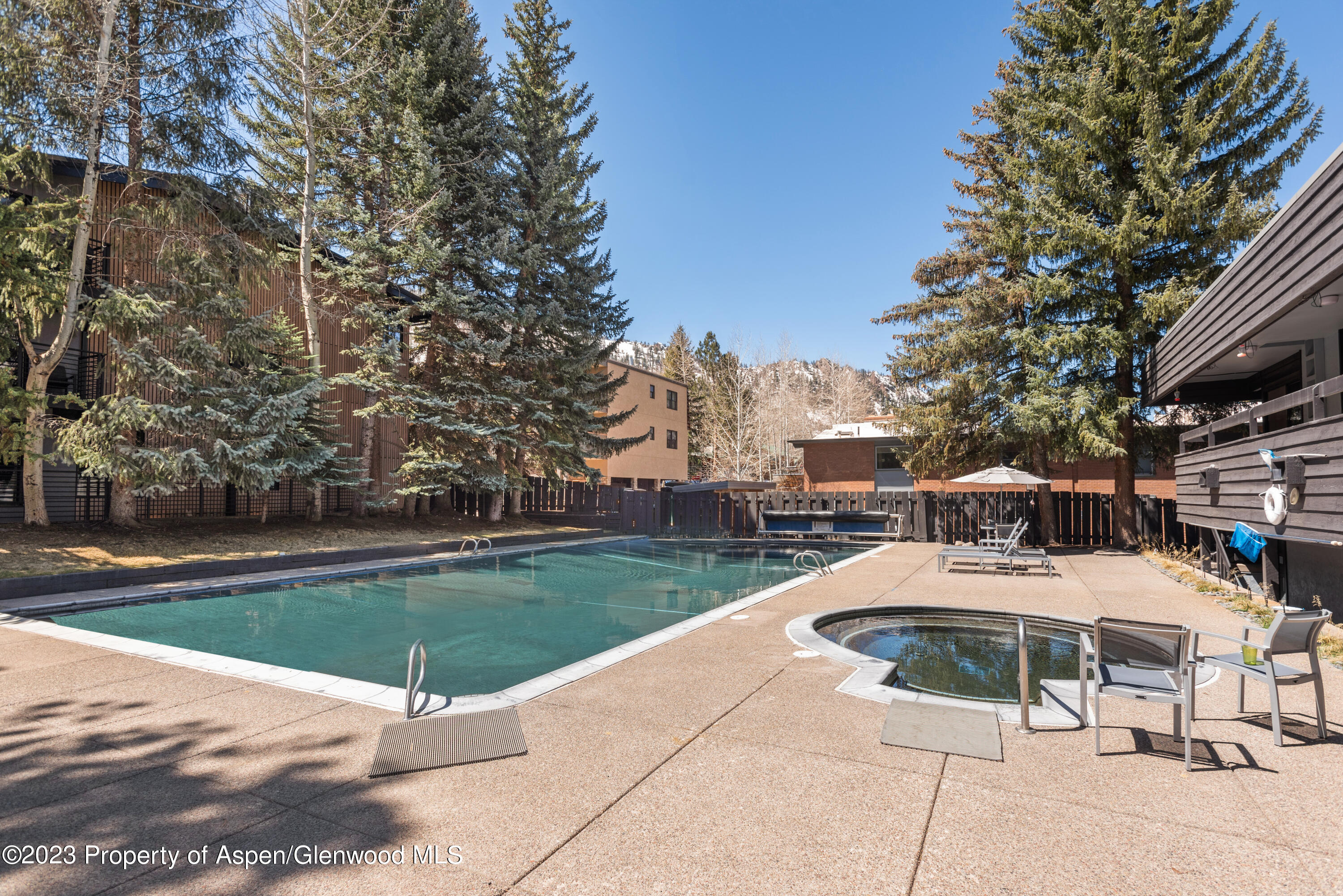 1039 E Cooper Avenue Aspen CO 81611
