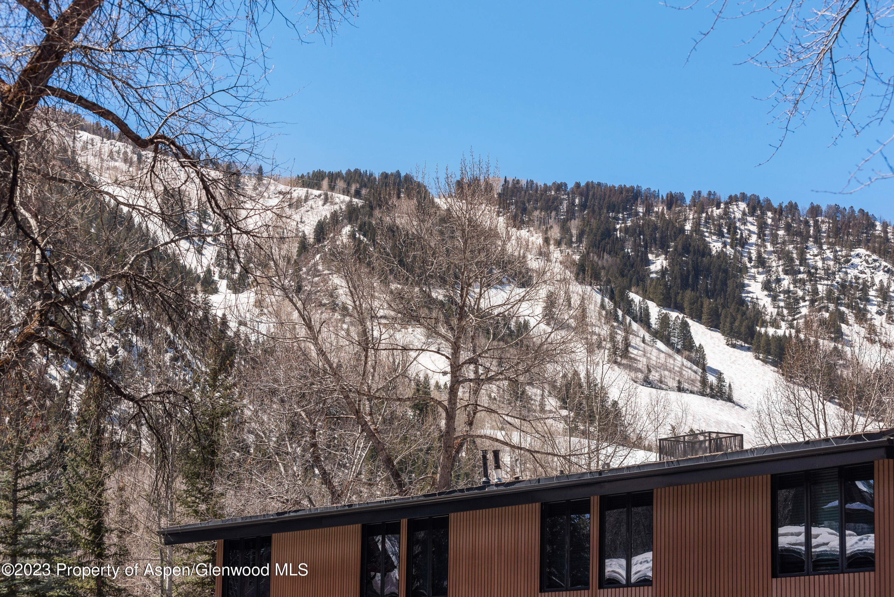 1039 E Cooper Avenue Aspen CO 81611