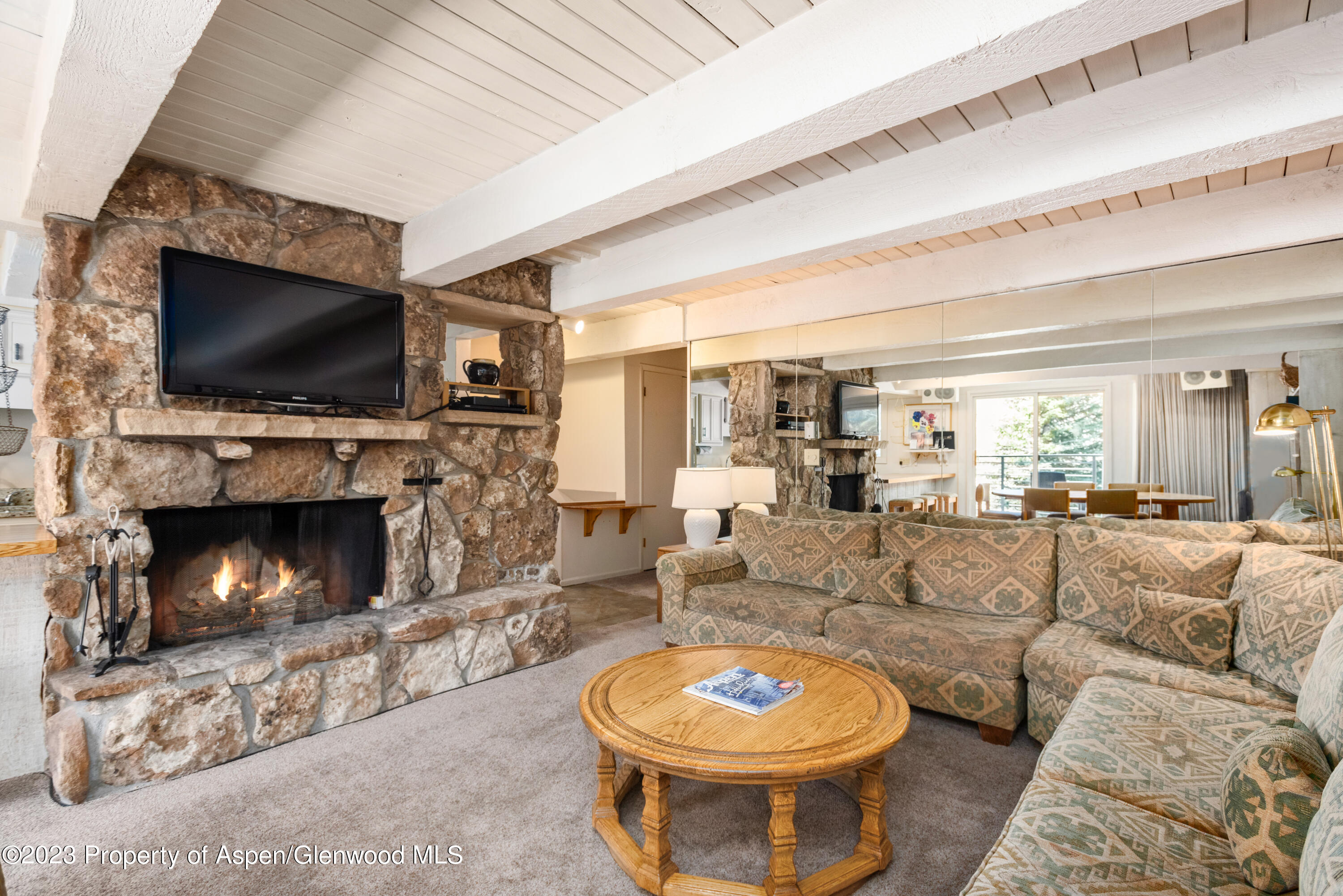 1039 E Cooper Avenue Aspen CO 81611