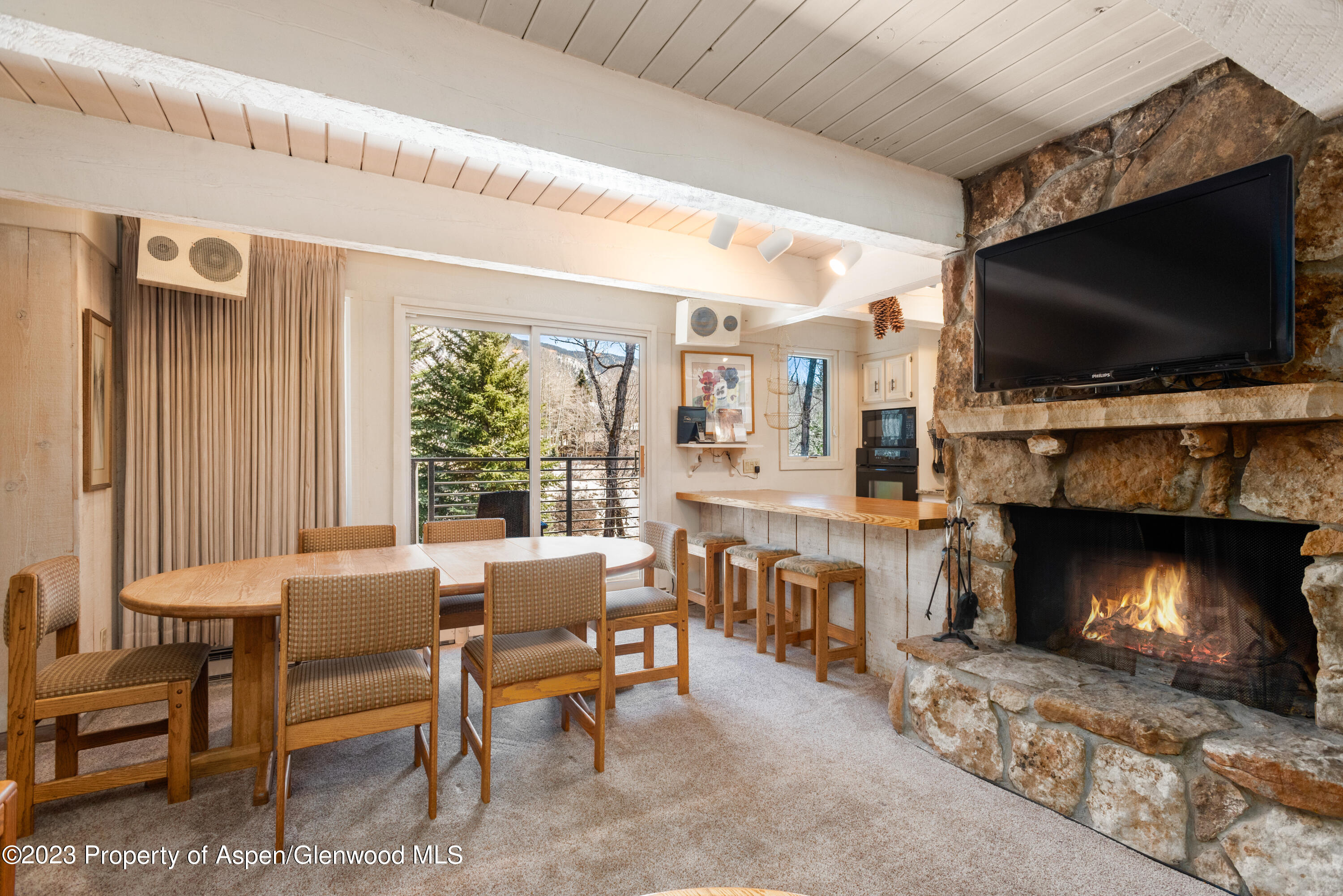 1039 E Cooper Avenue Aspen CO 81611