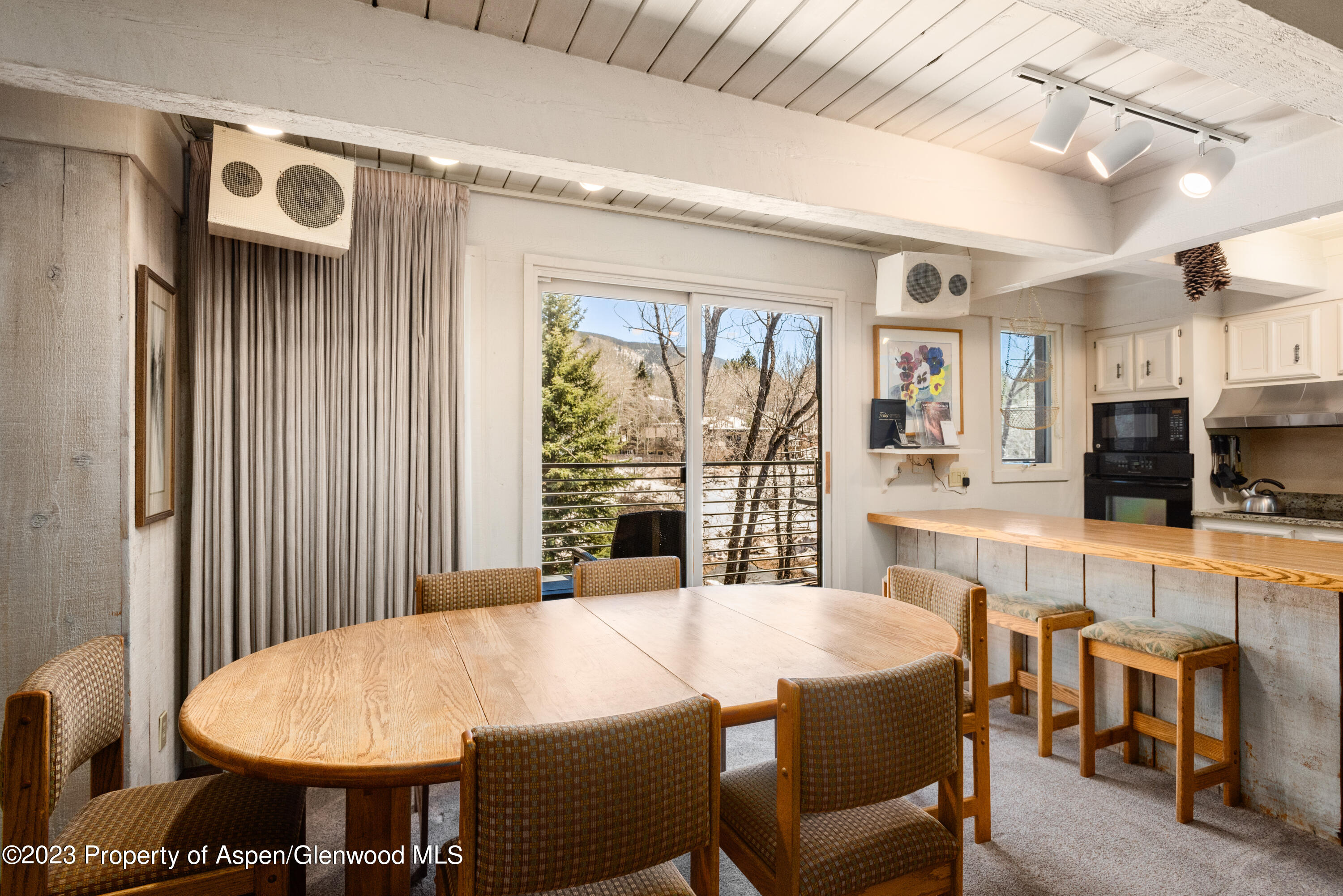 1039 E Cooper Avenue Aspen CO 81611