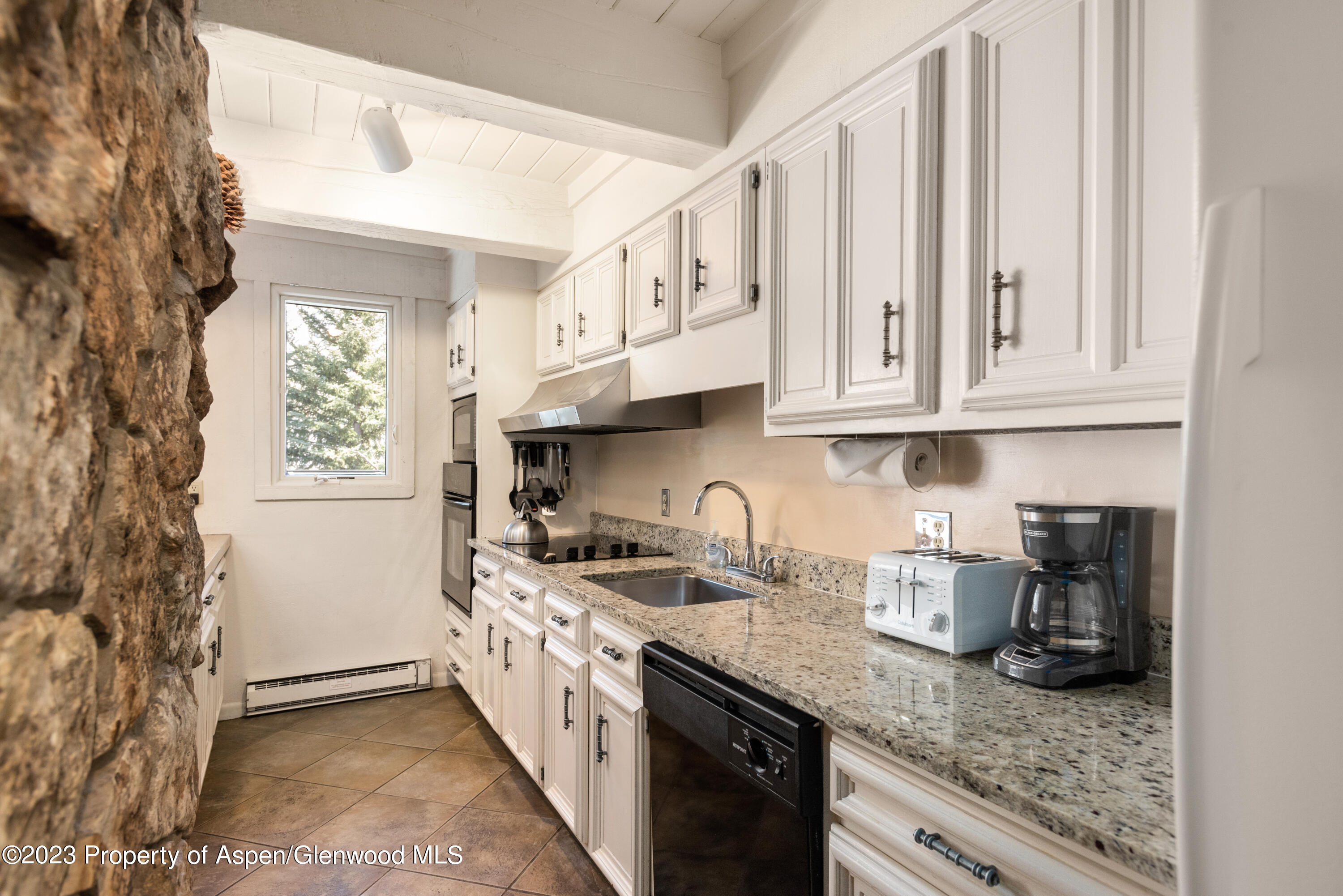 1039 E Cooper Avenue Aspen CO 81611
