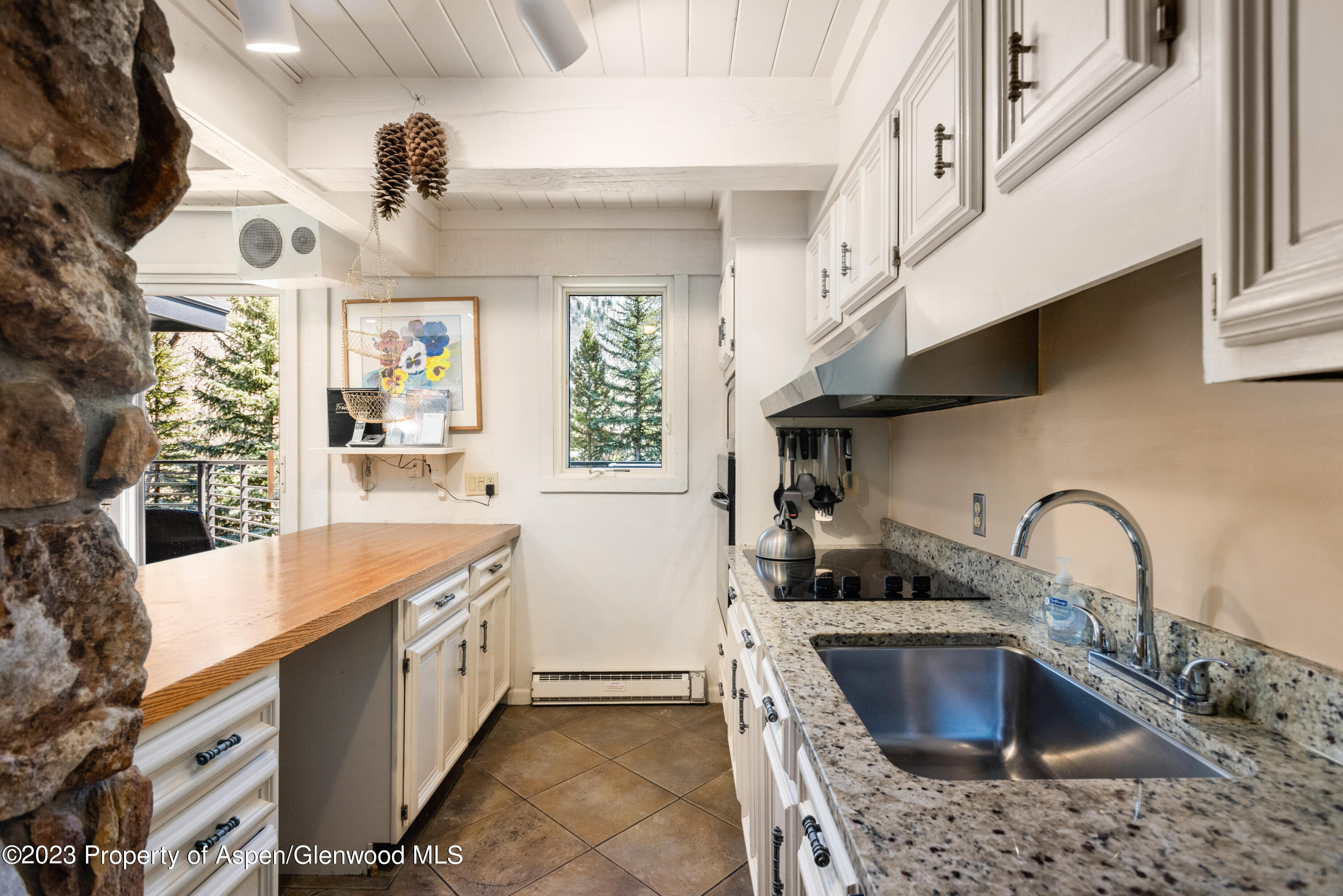 1039 E Cooper Avenue Aspen CO 81611