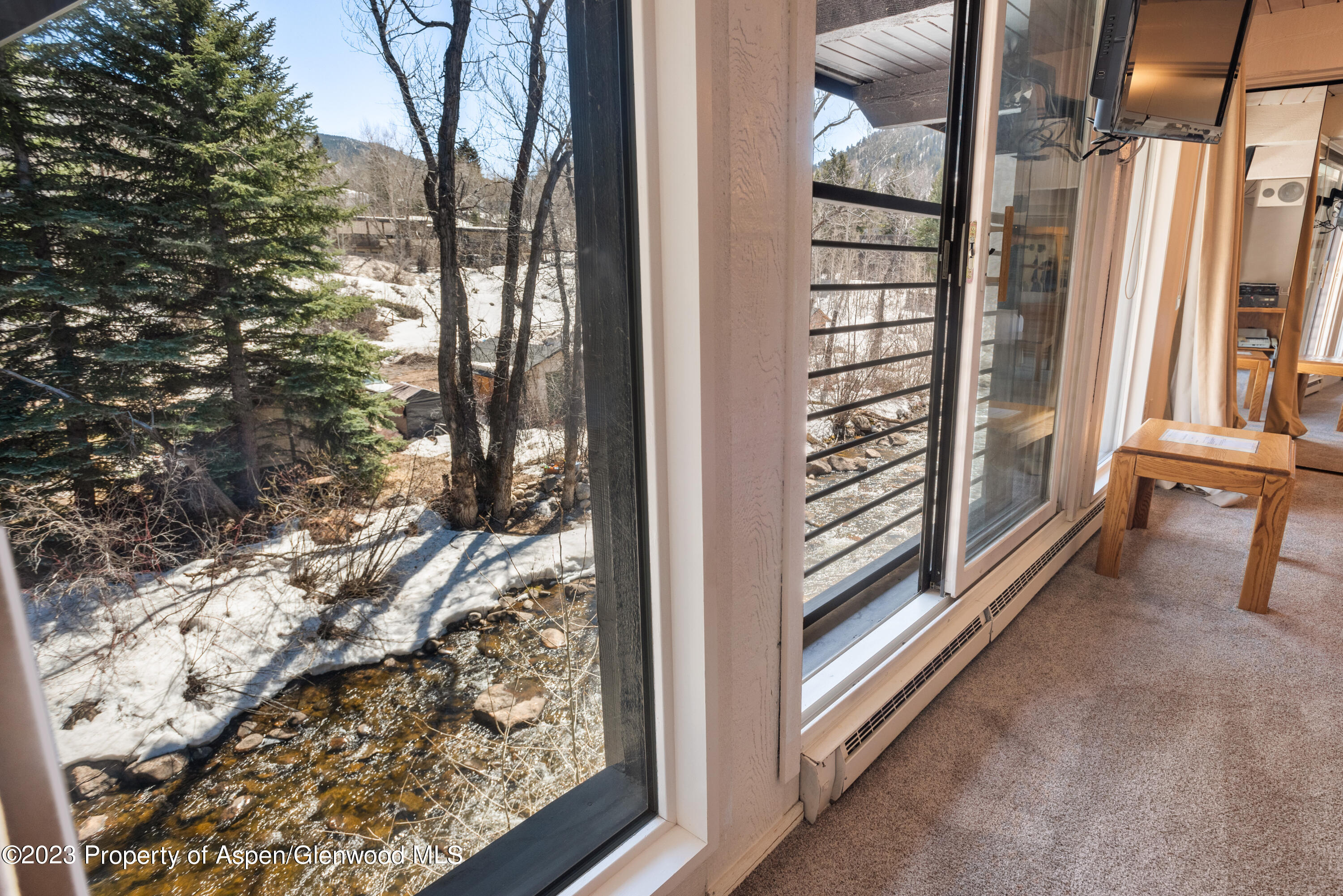 1039 E Cooper Avenue Aspen CO 81611
