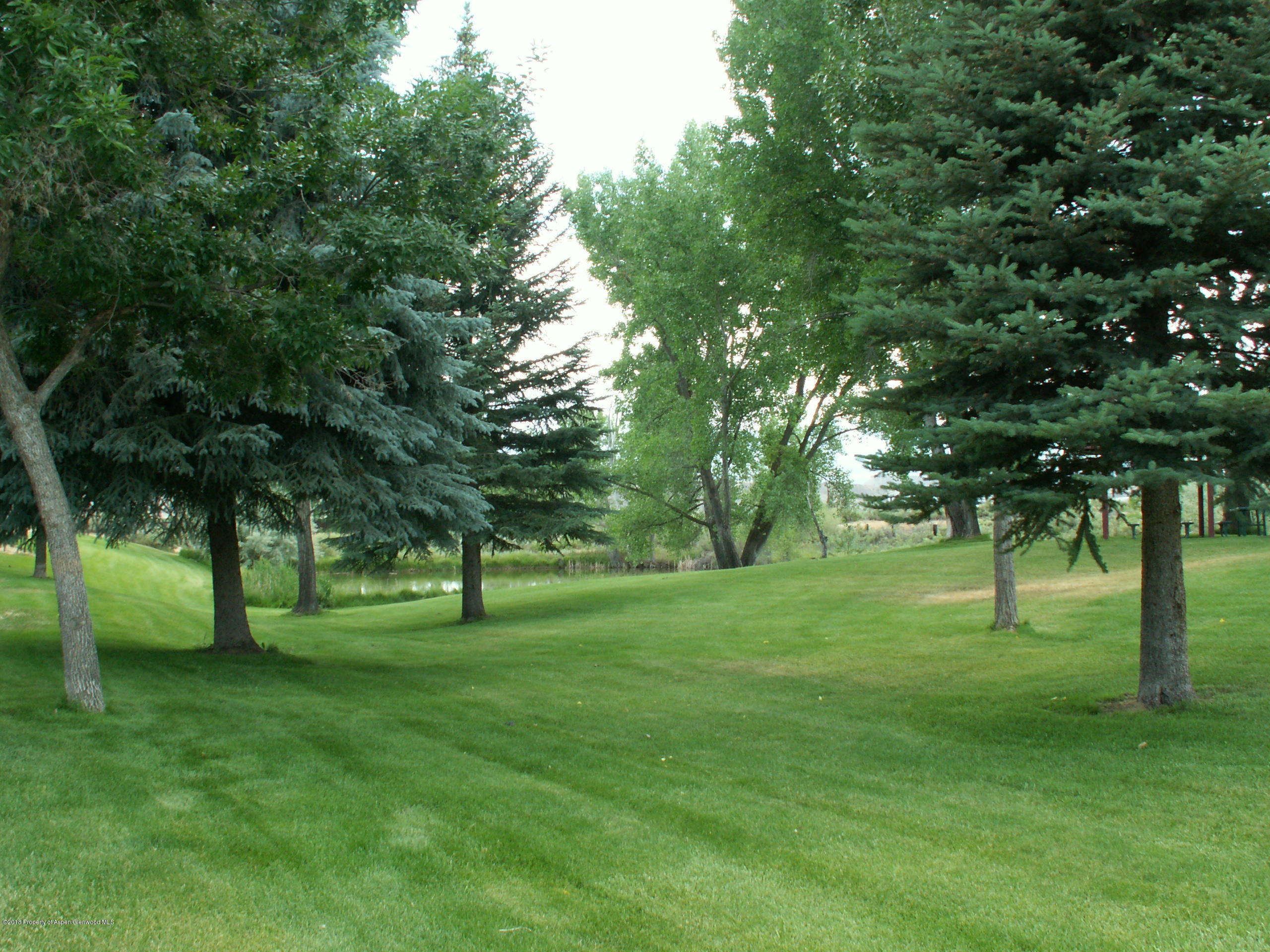 345 Dogwood Drive Silt CO 81652