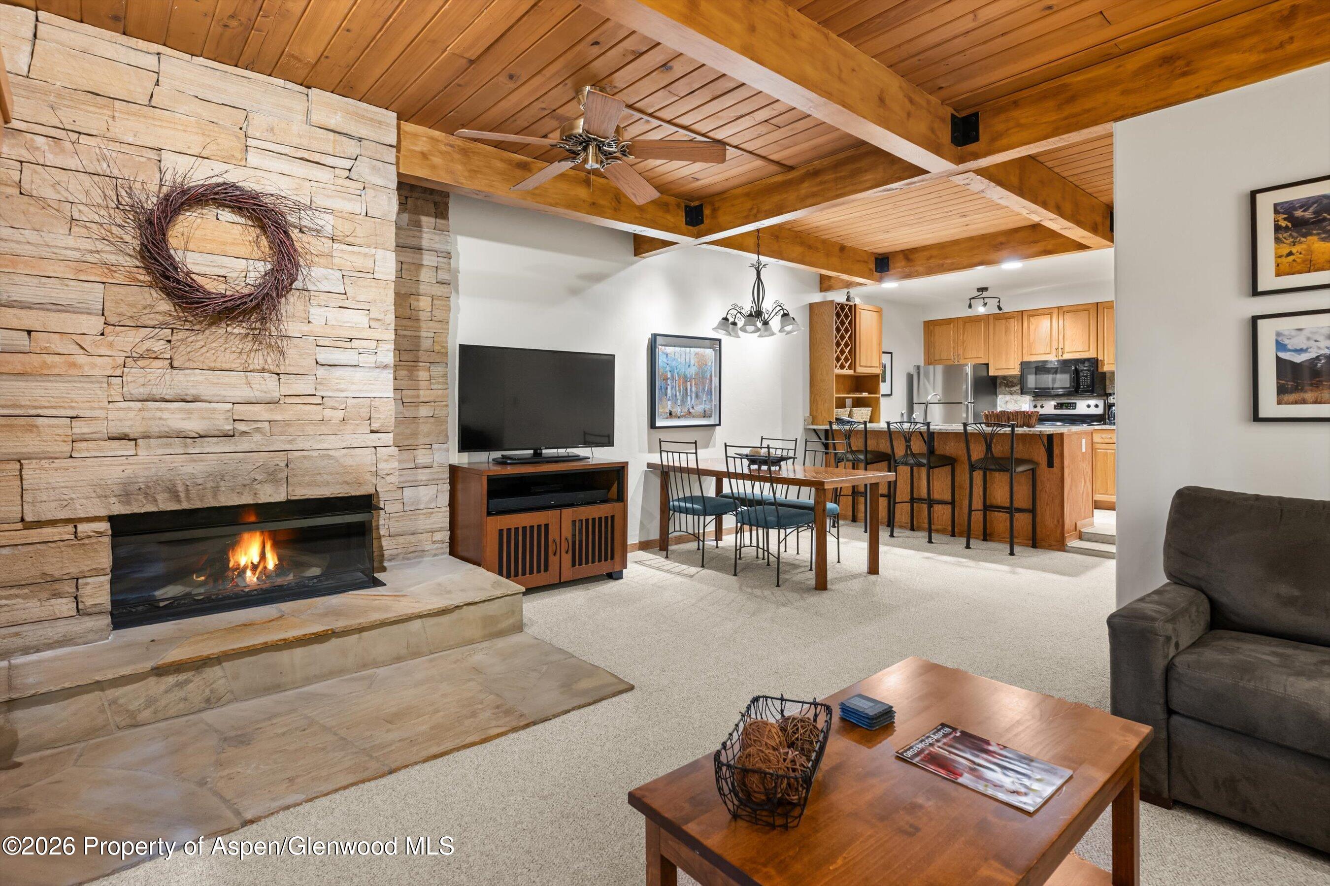 Aspen CO, 610 S West End Street, Unit J204