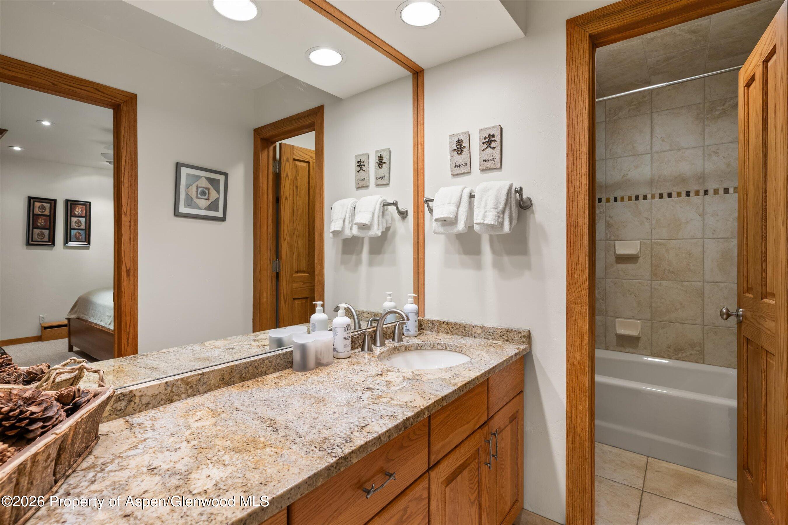 610 S West End Street Aspen CO 81611