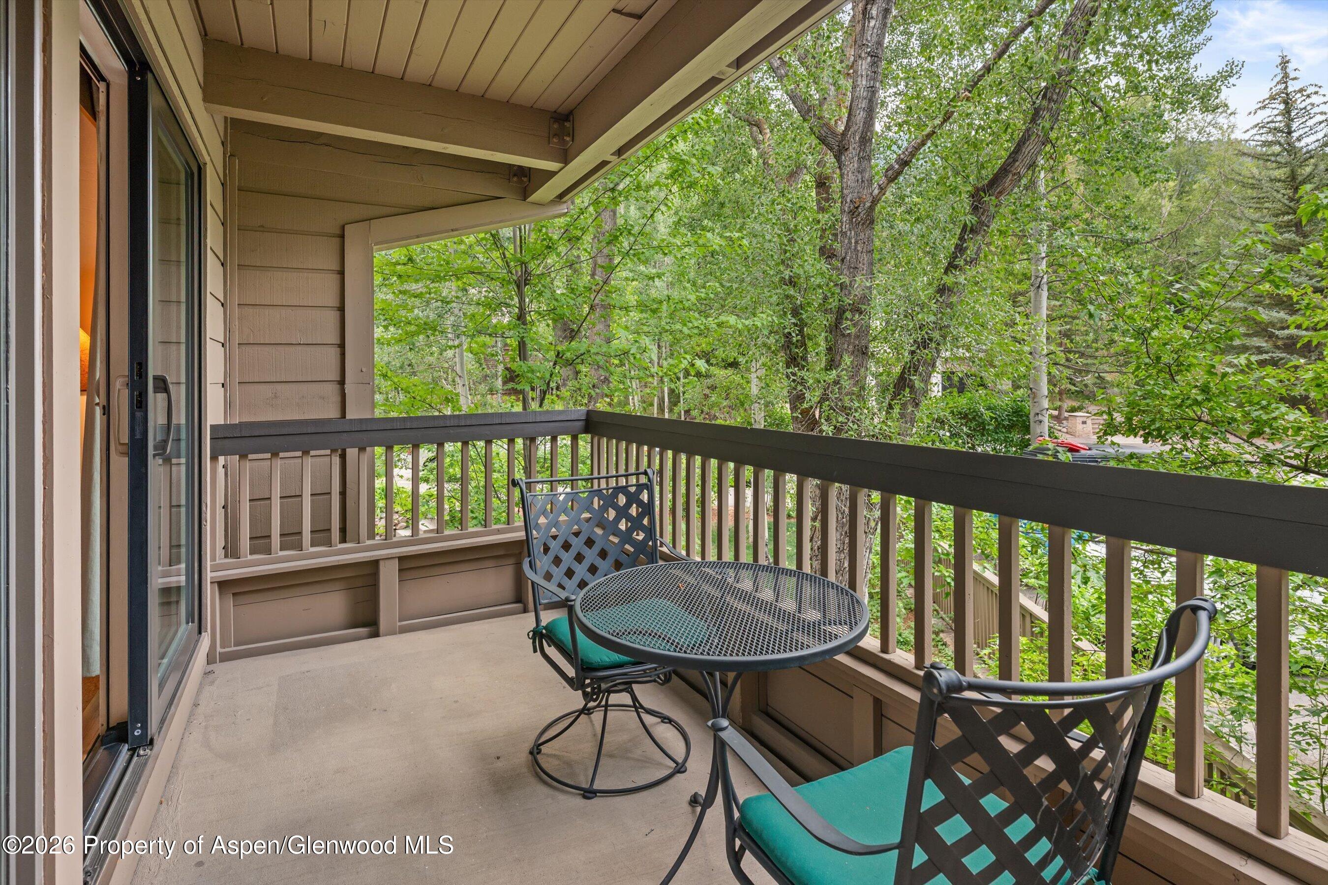 610 S West End Street Aspen CO 81611