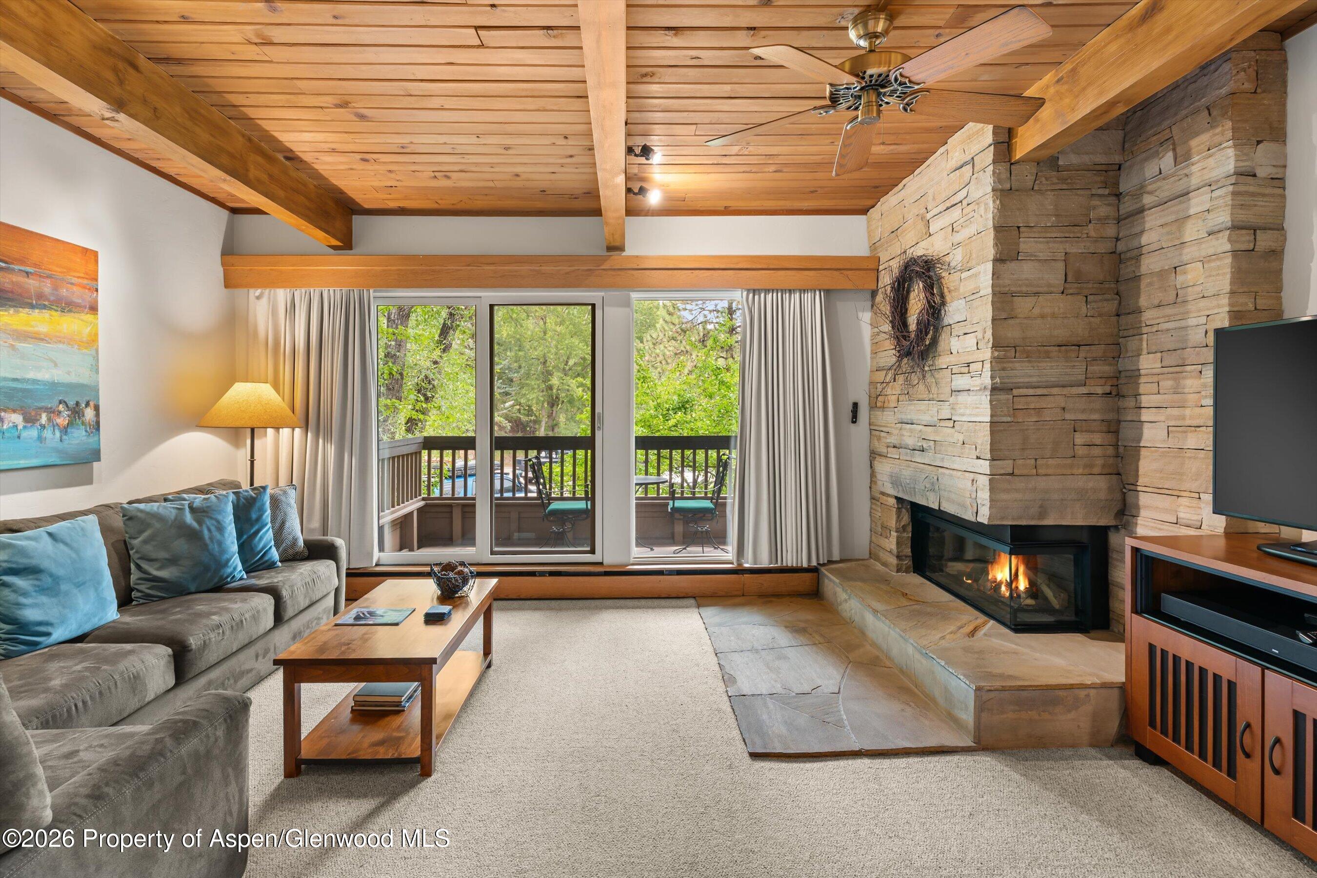 610 S West End Street Aspen CO 81611
