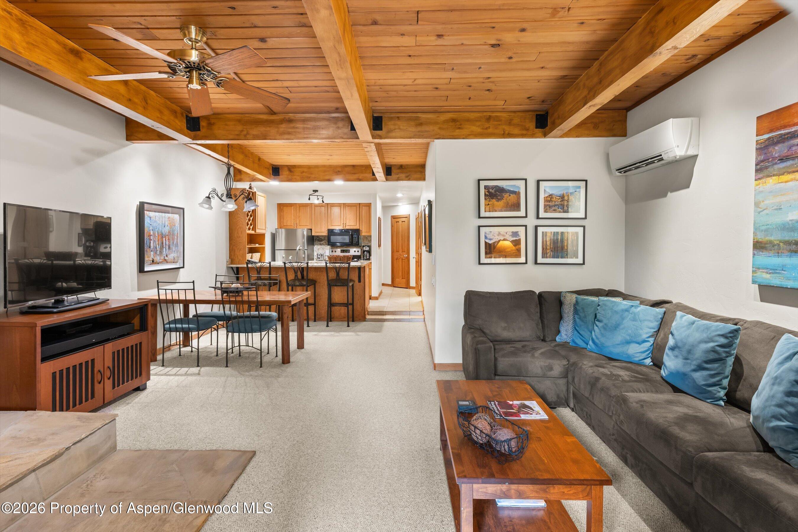 610 S West End Street Aspen CO 81611