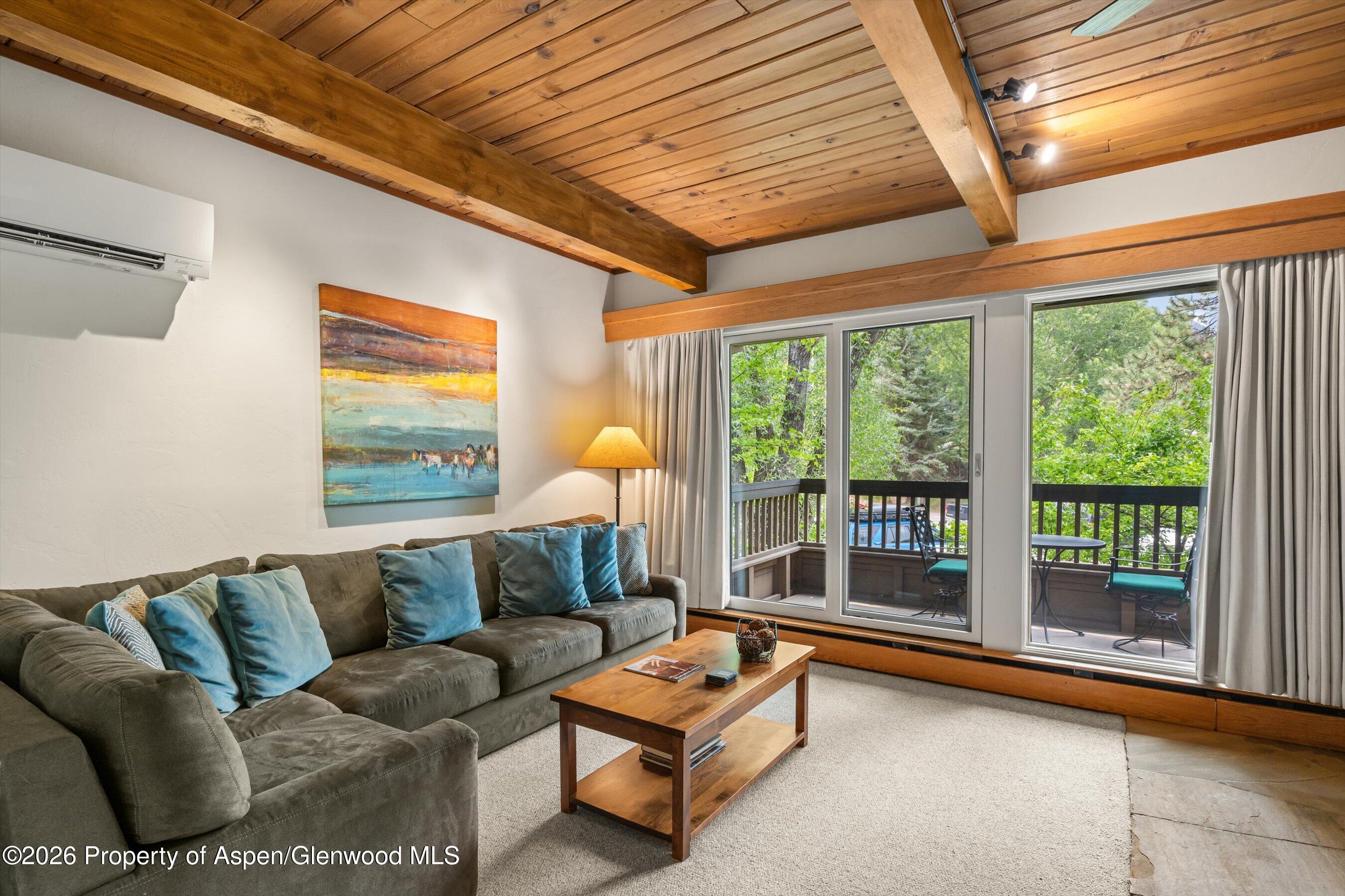 610 S West End Street Aspen CO 81611