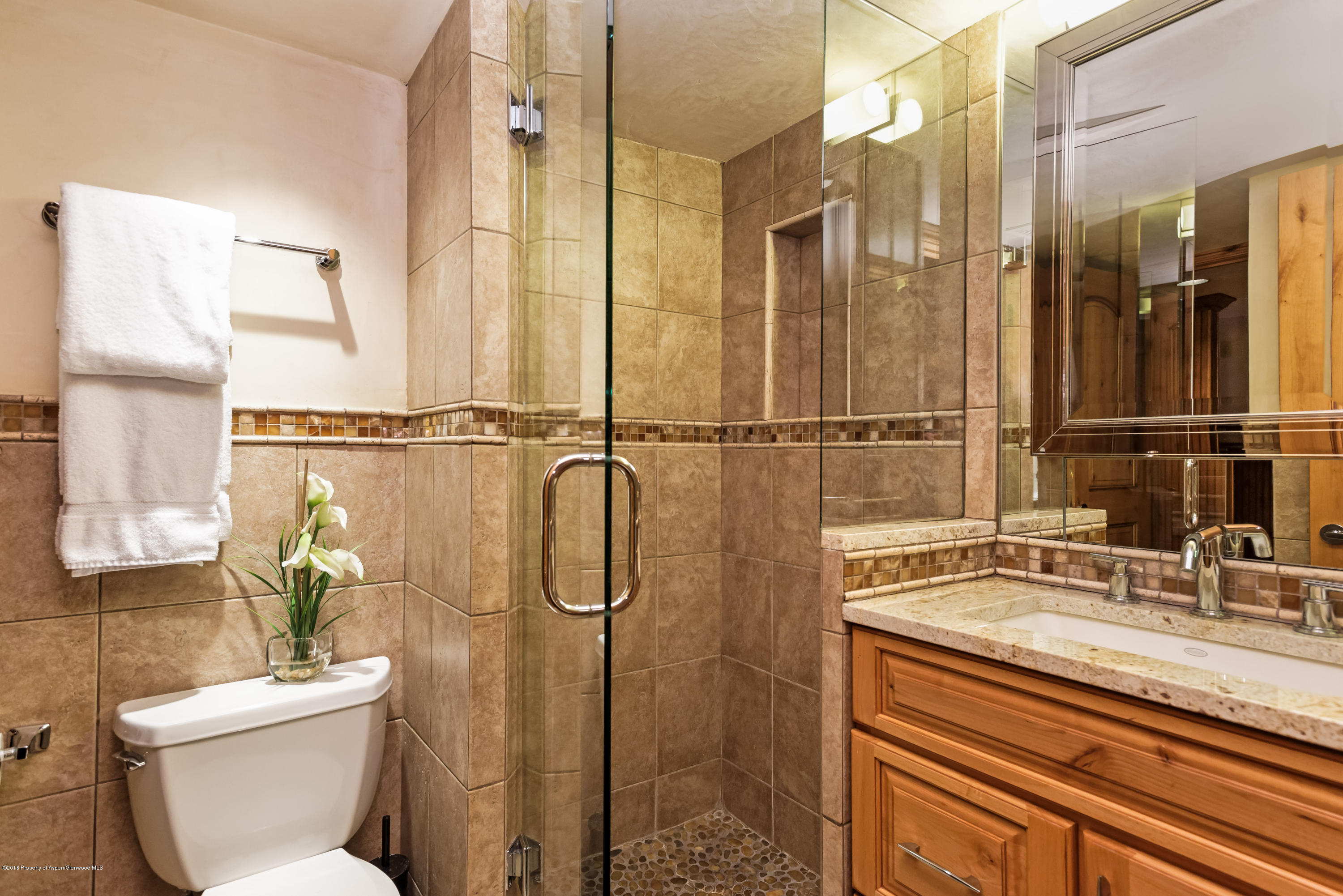 800 S Mill Street Aspen CO 81611