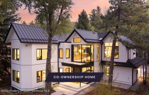 709 W Hallam Street Aspen CO 81611