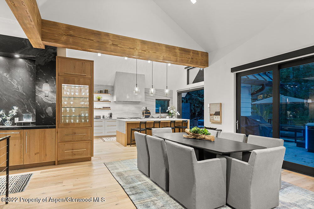 709 W Hallam Street Aspen CO 81611