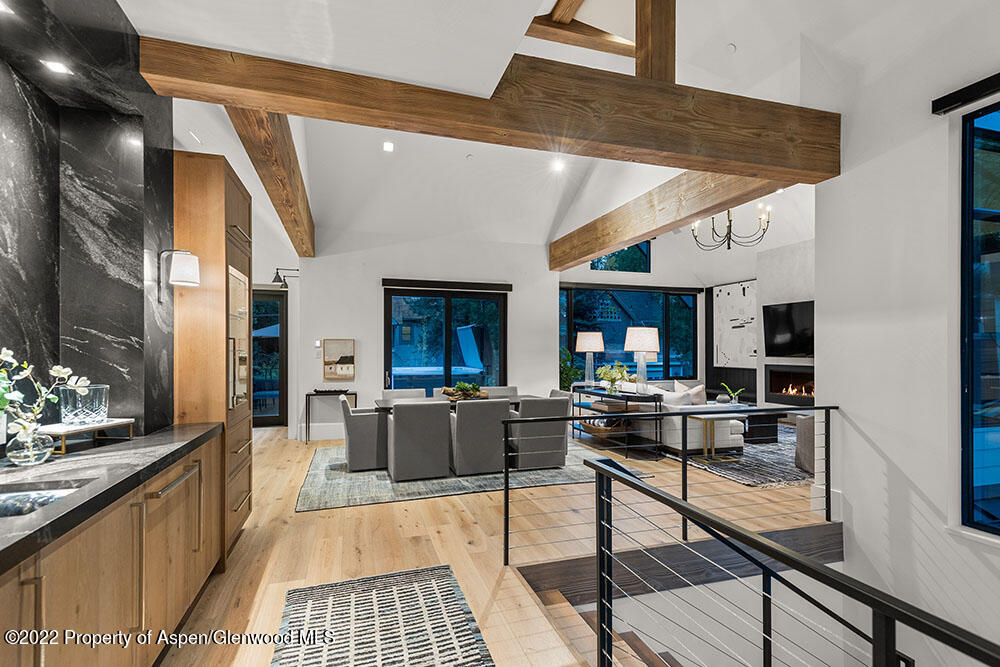 709 W Hallam Street Aspen CO 81611