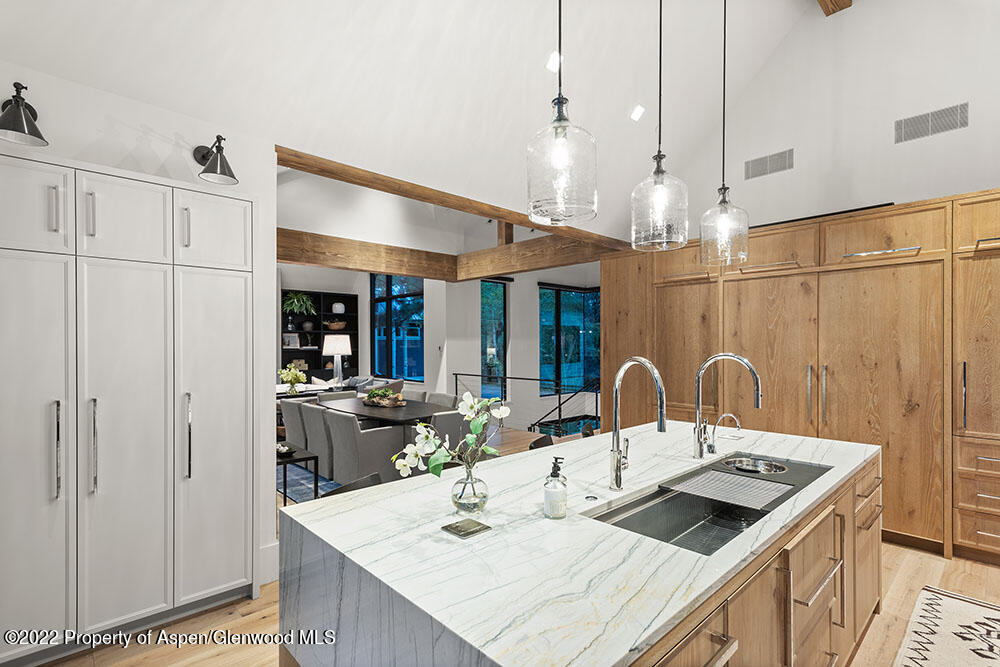 709 W Hallam Street Aspen CO 81611