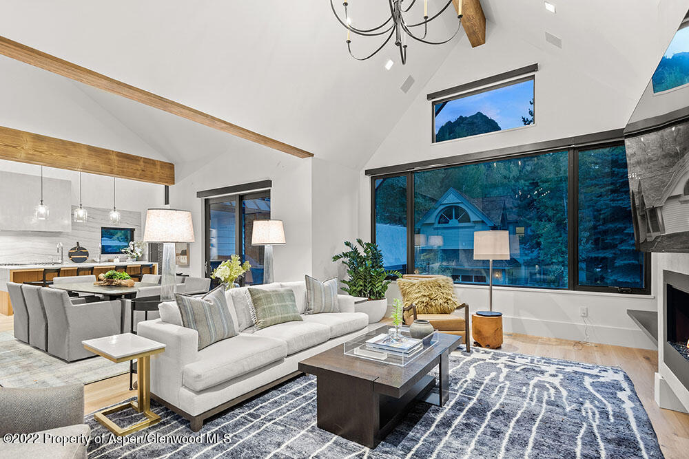 709 W Hallam Street Aspen CO 81611