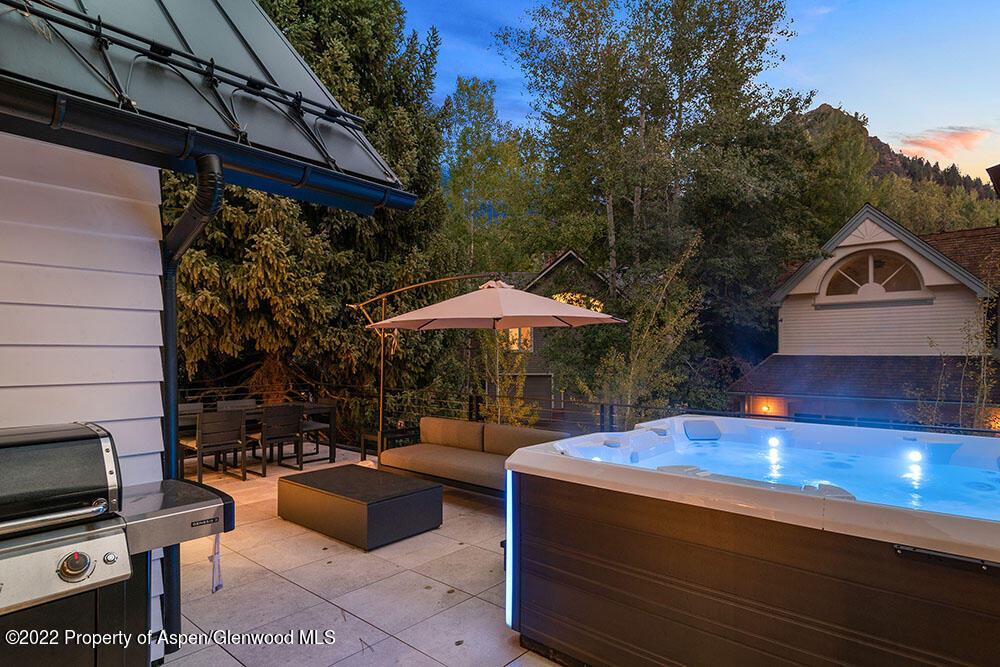 709 W Hallam Street Aspen CO 81611