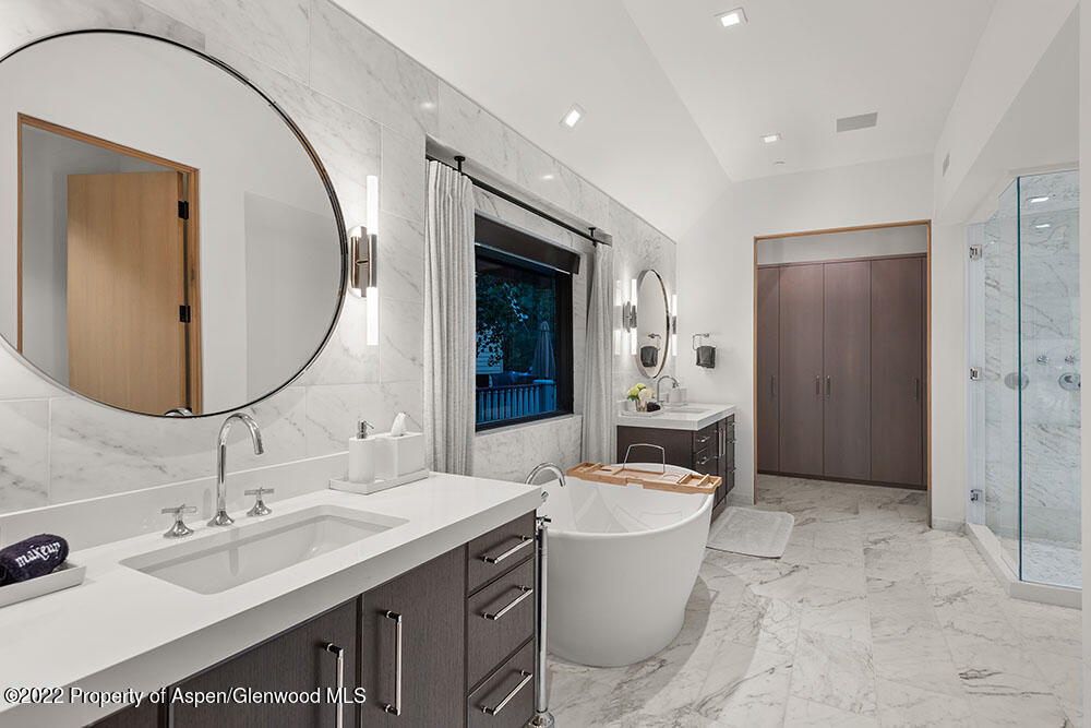 709 W Hallam Street Aspen CO 81611