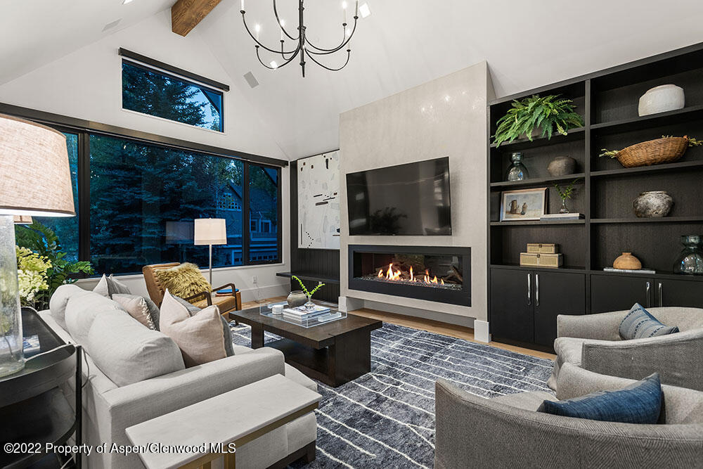 709 W Hallam Street Aspen CO 81611