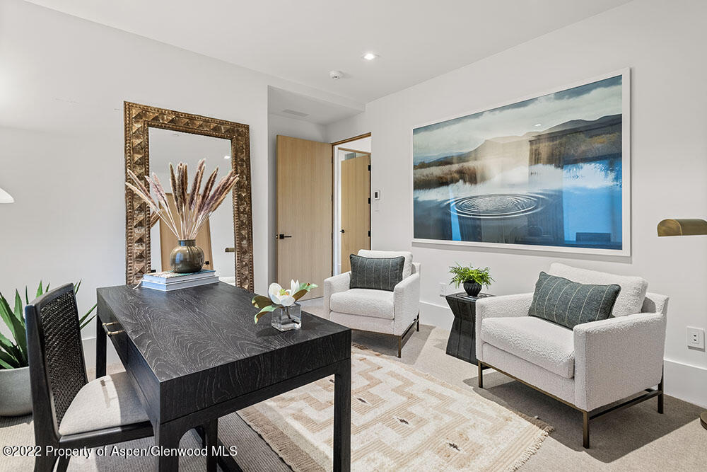 709 W Hallam Street Aspen CO 81611
