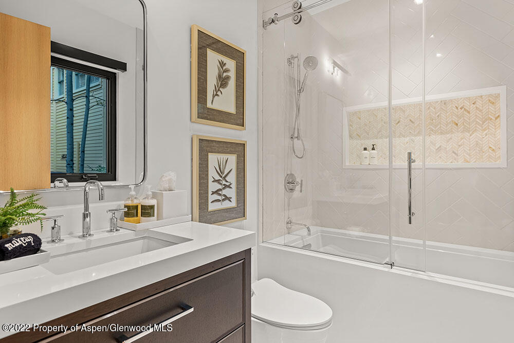 709 W Hallam Street Aspen CO 81611