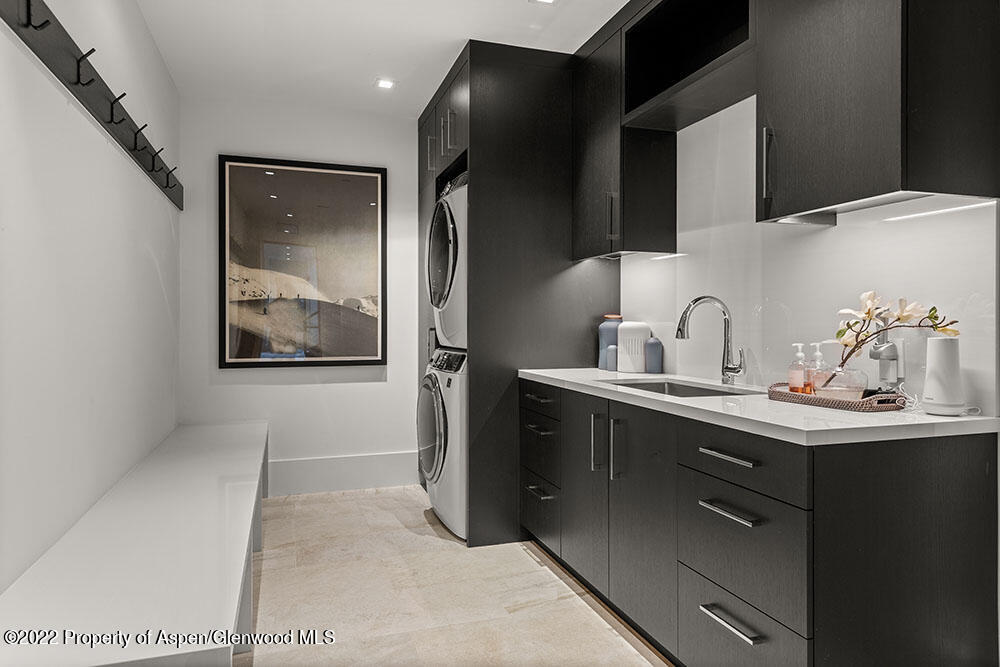 709 W Hallam Street Aspen CO 81611